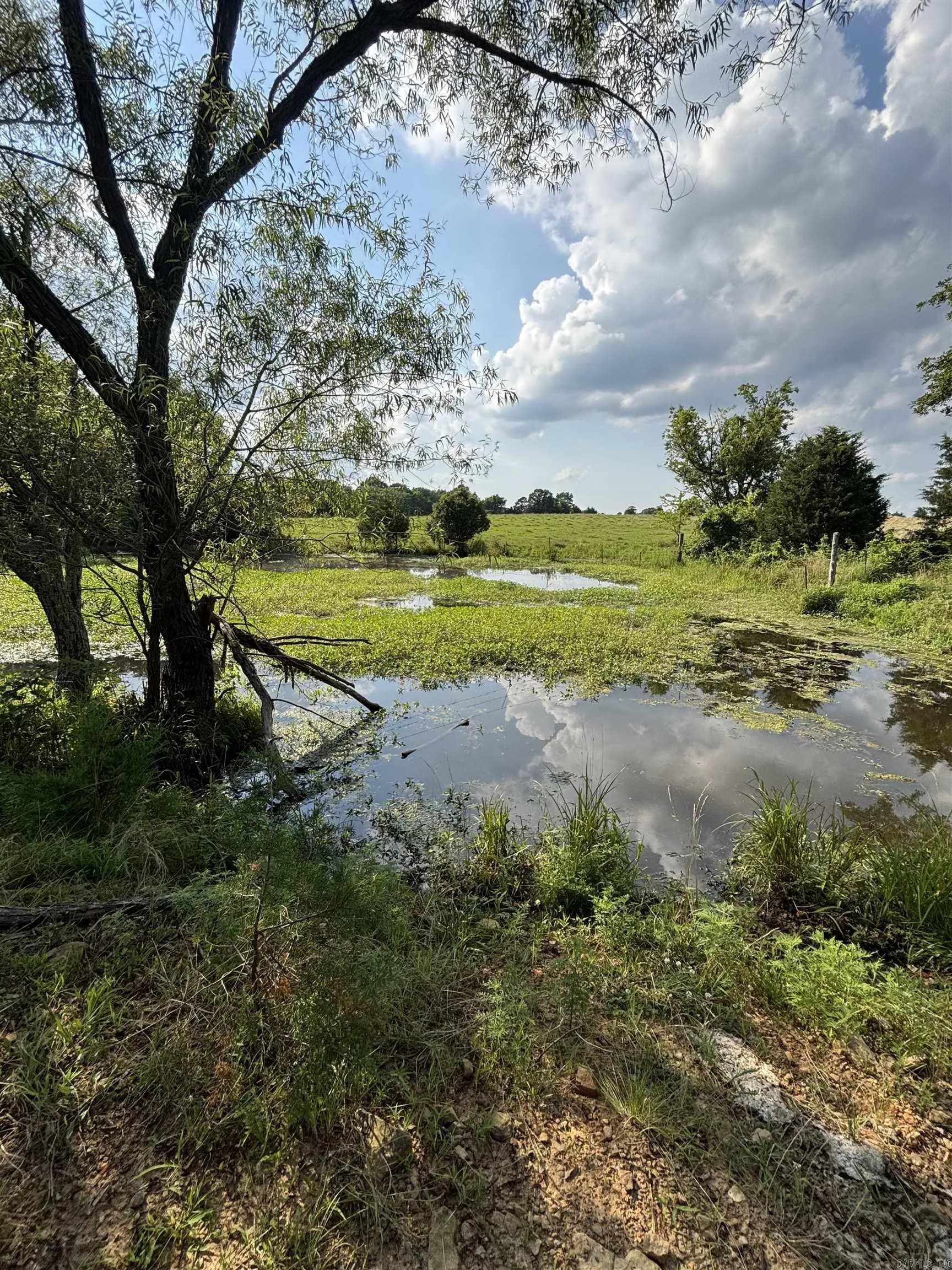Property at 197  Penner - Image 43