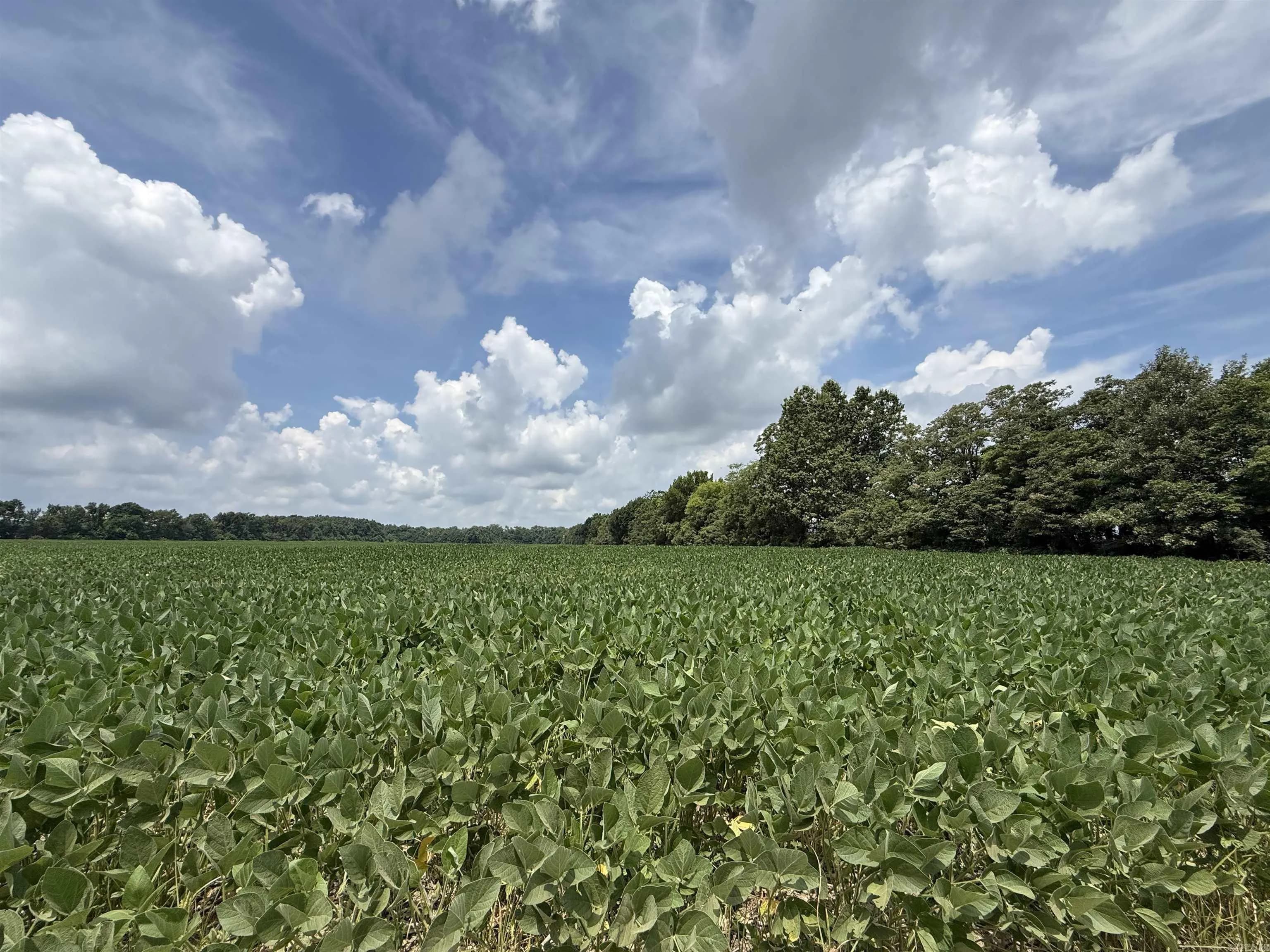 Property at 00  Copeland rd - Image 1