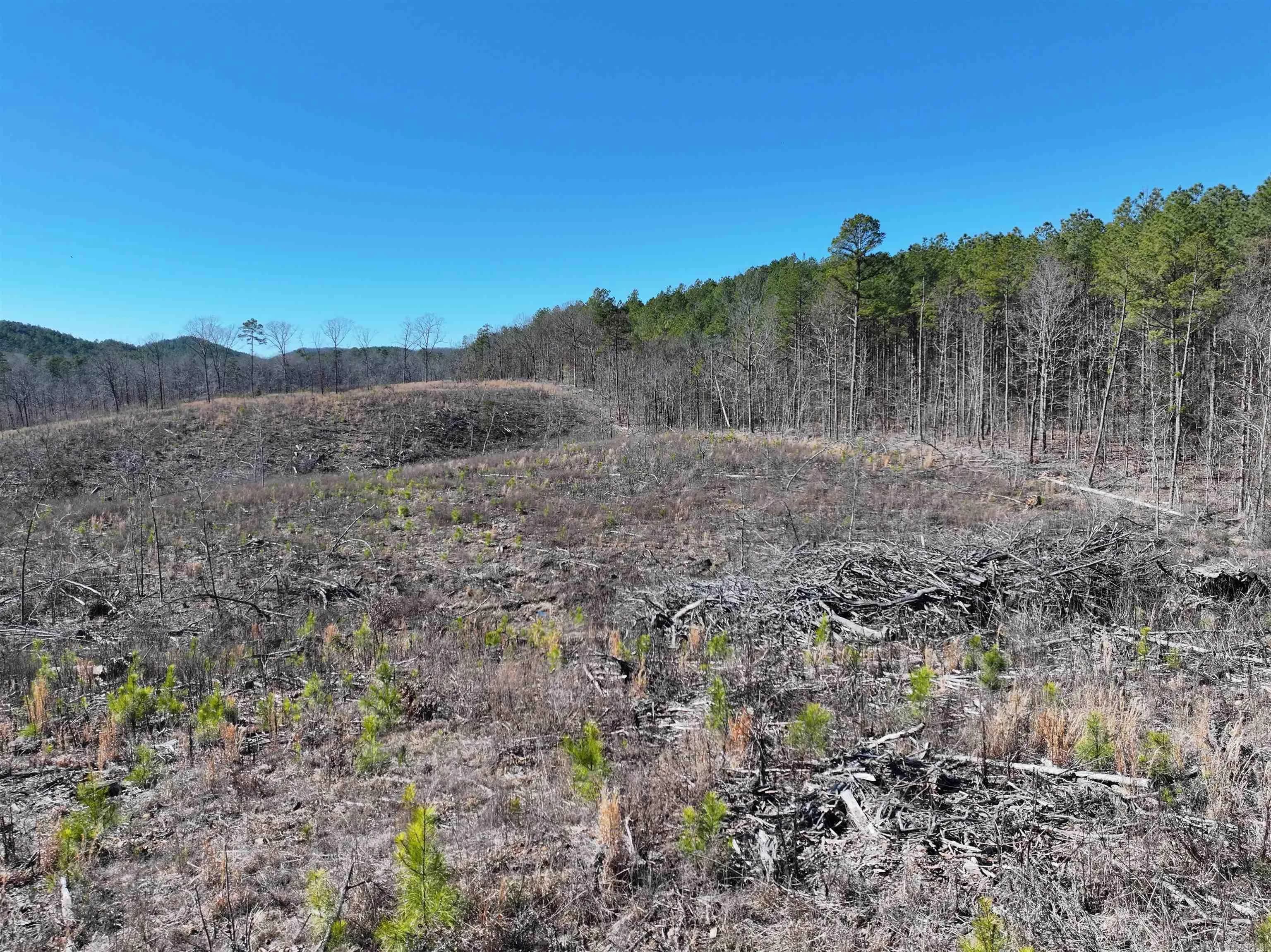 Property at TBD  Weyco road - Image 20