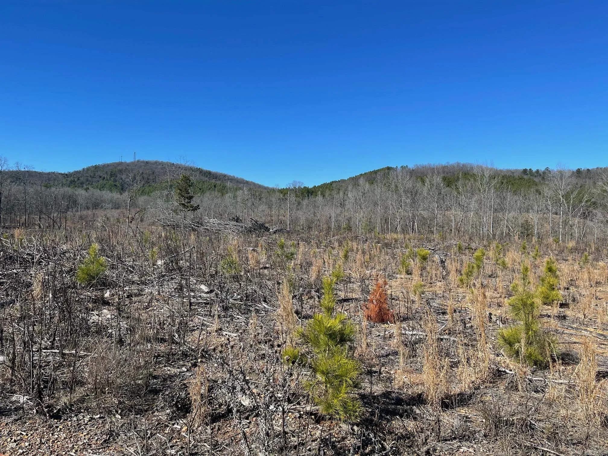 Property at TBD  Weyco road - Image 13
