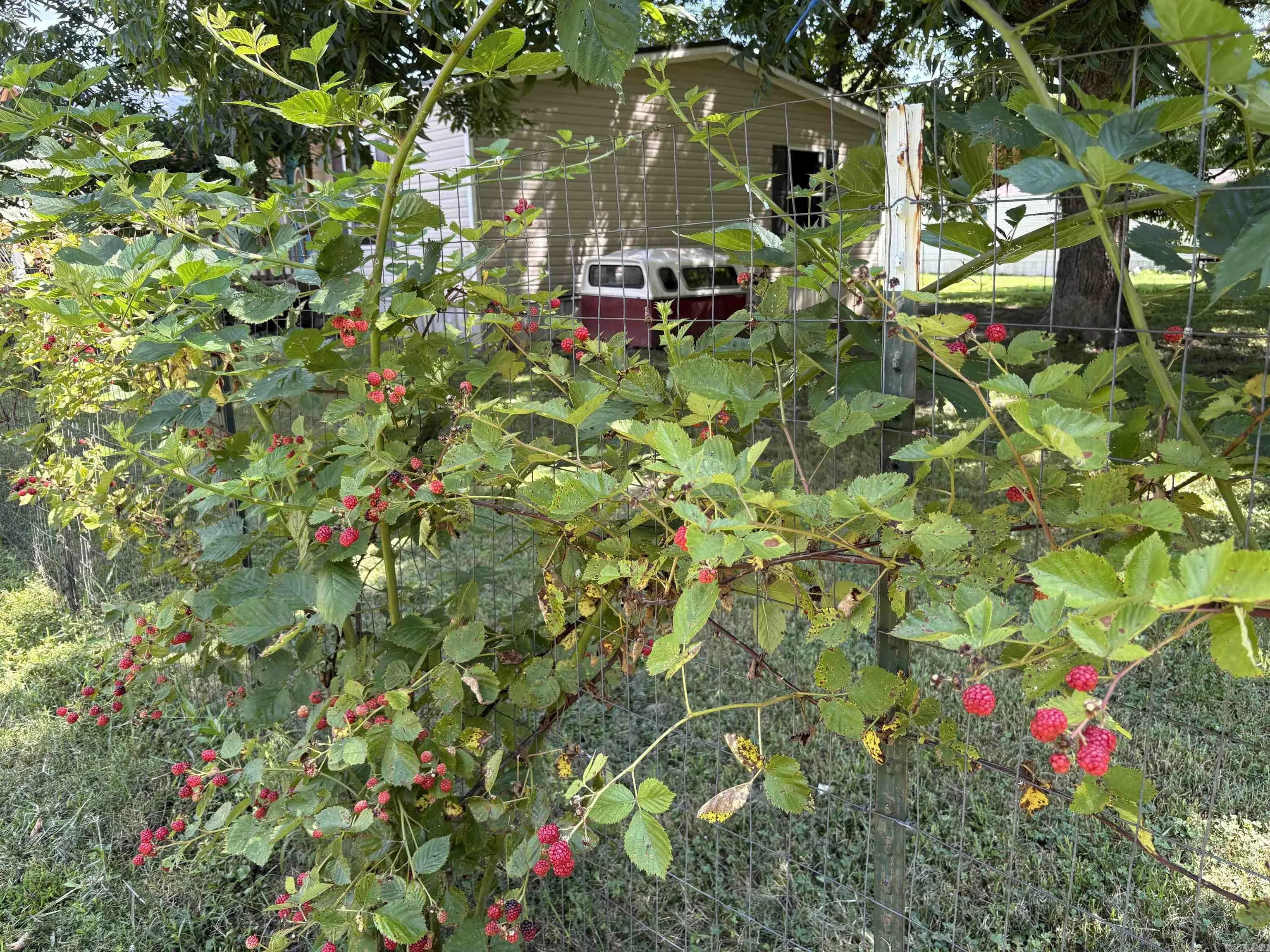 Property at 1014 S Third - Image 7