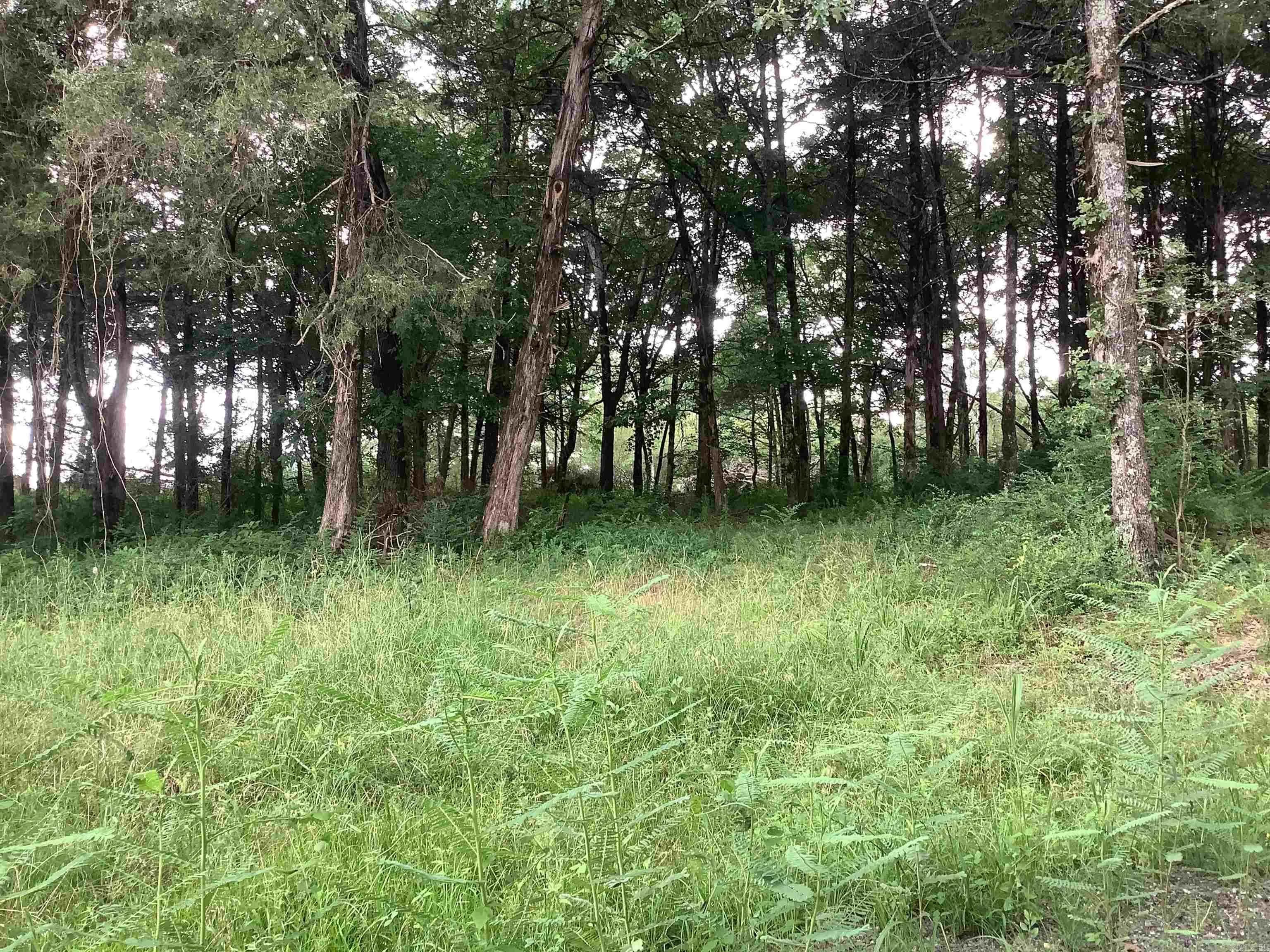 Property at 0001  Hwy 167 n - Image 10