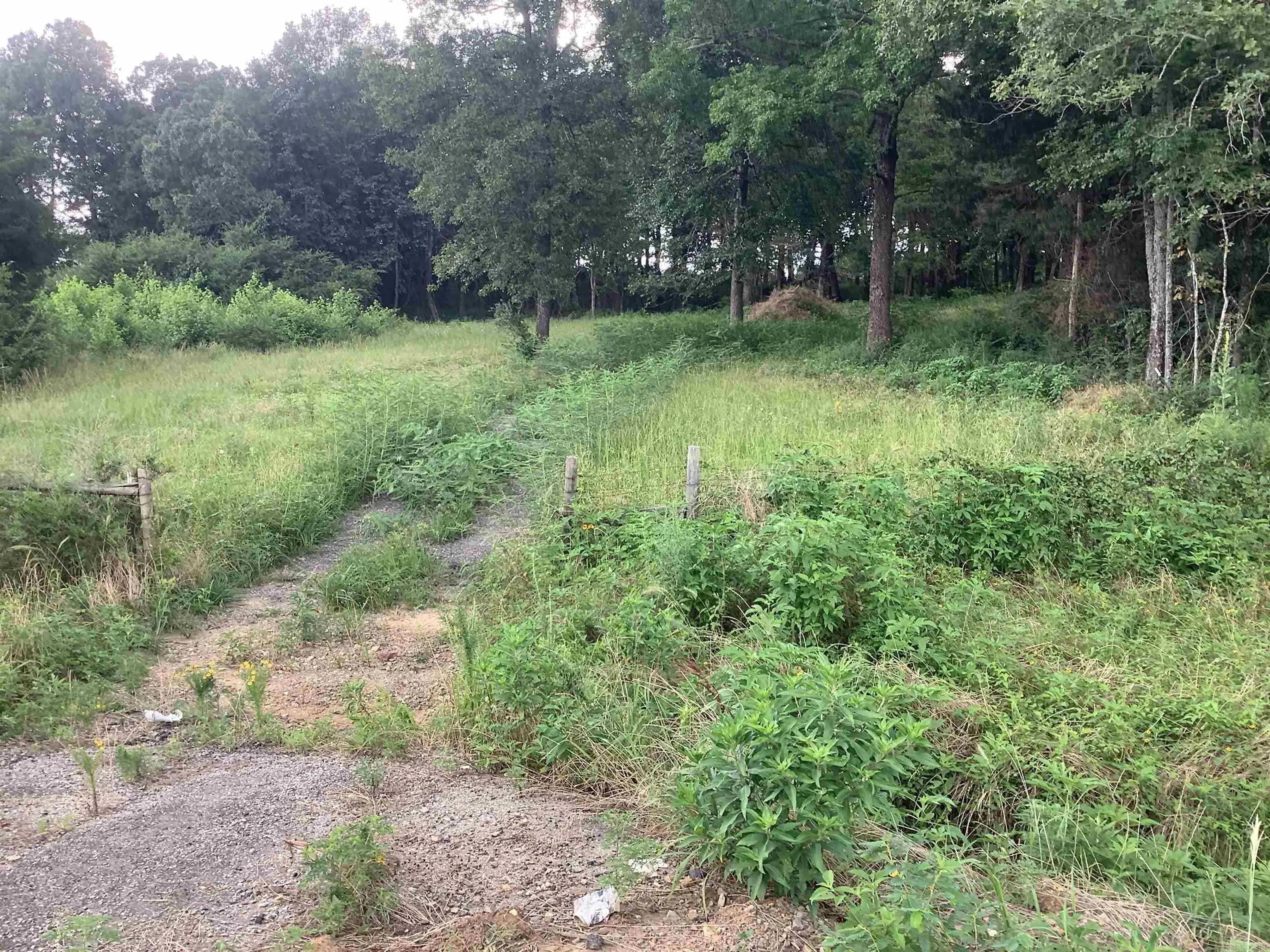 Property at 0001  Hwy 167 n - Image 1