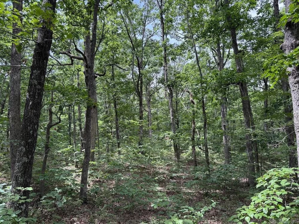Property at Hilltop road - Image 21