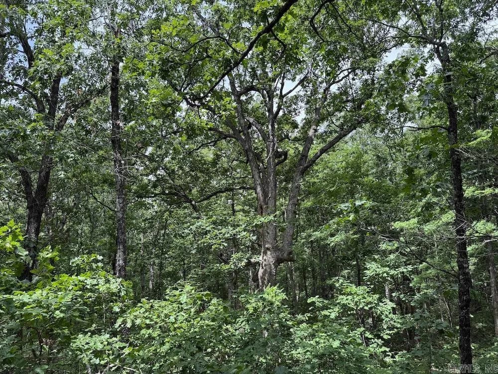 Property at Hilltop road - Image 18