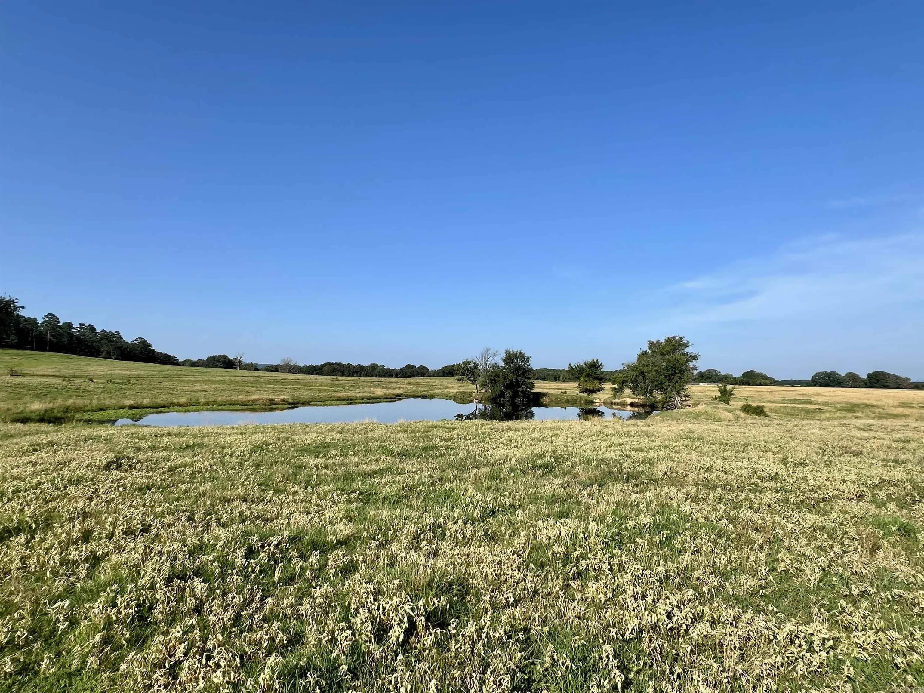 Property at 181  Lovers lane - Image 43