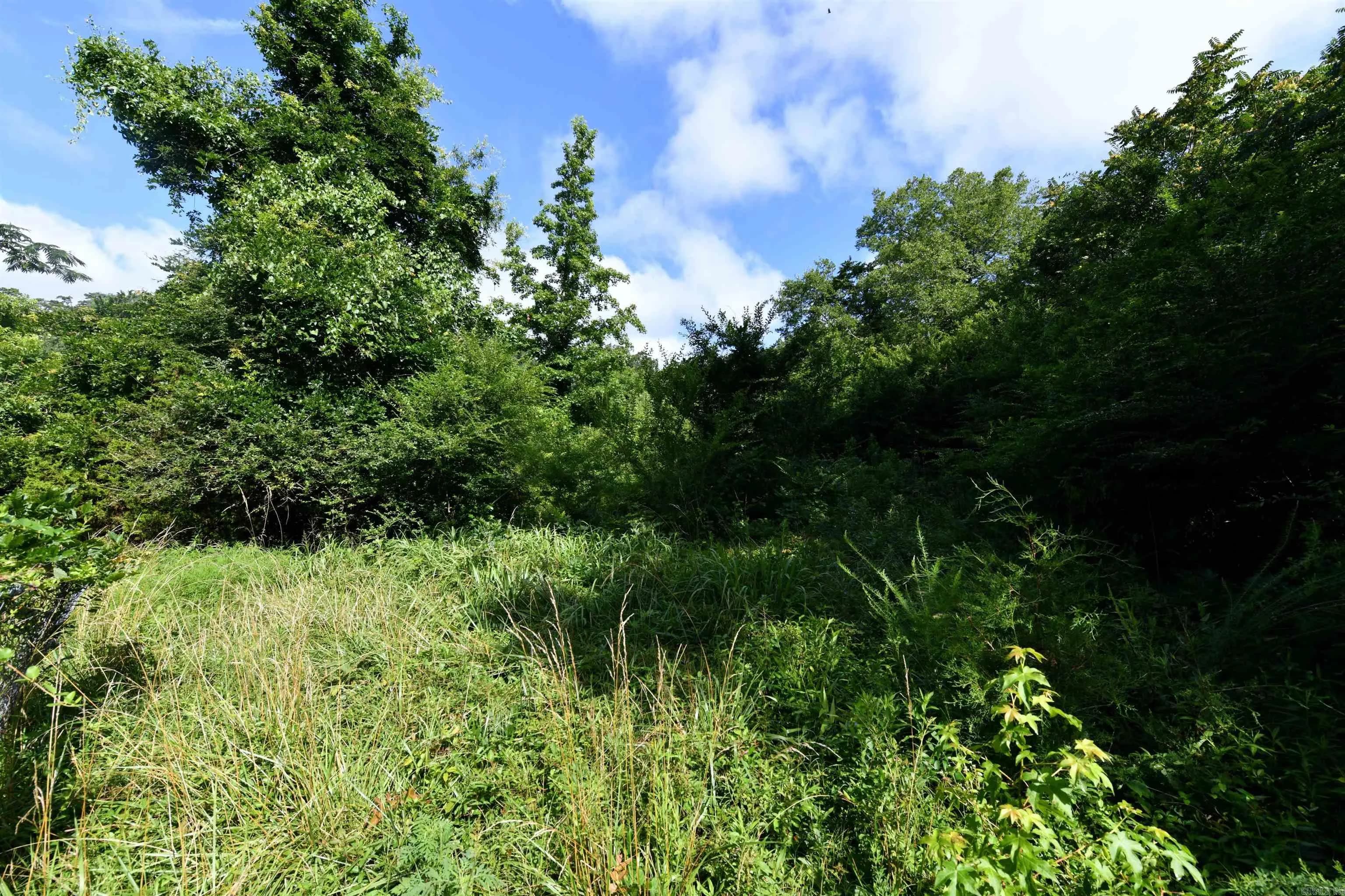 Property at 105  Hickory - Image 3