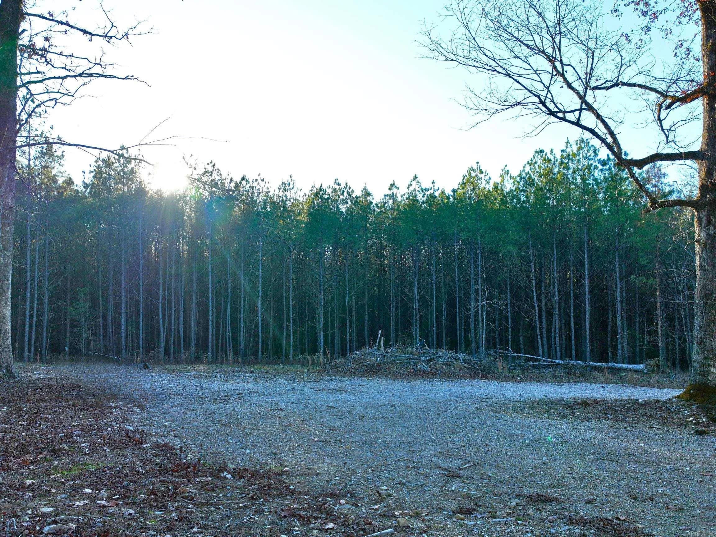 Property at 300 Block of  Stihl - Image 9