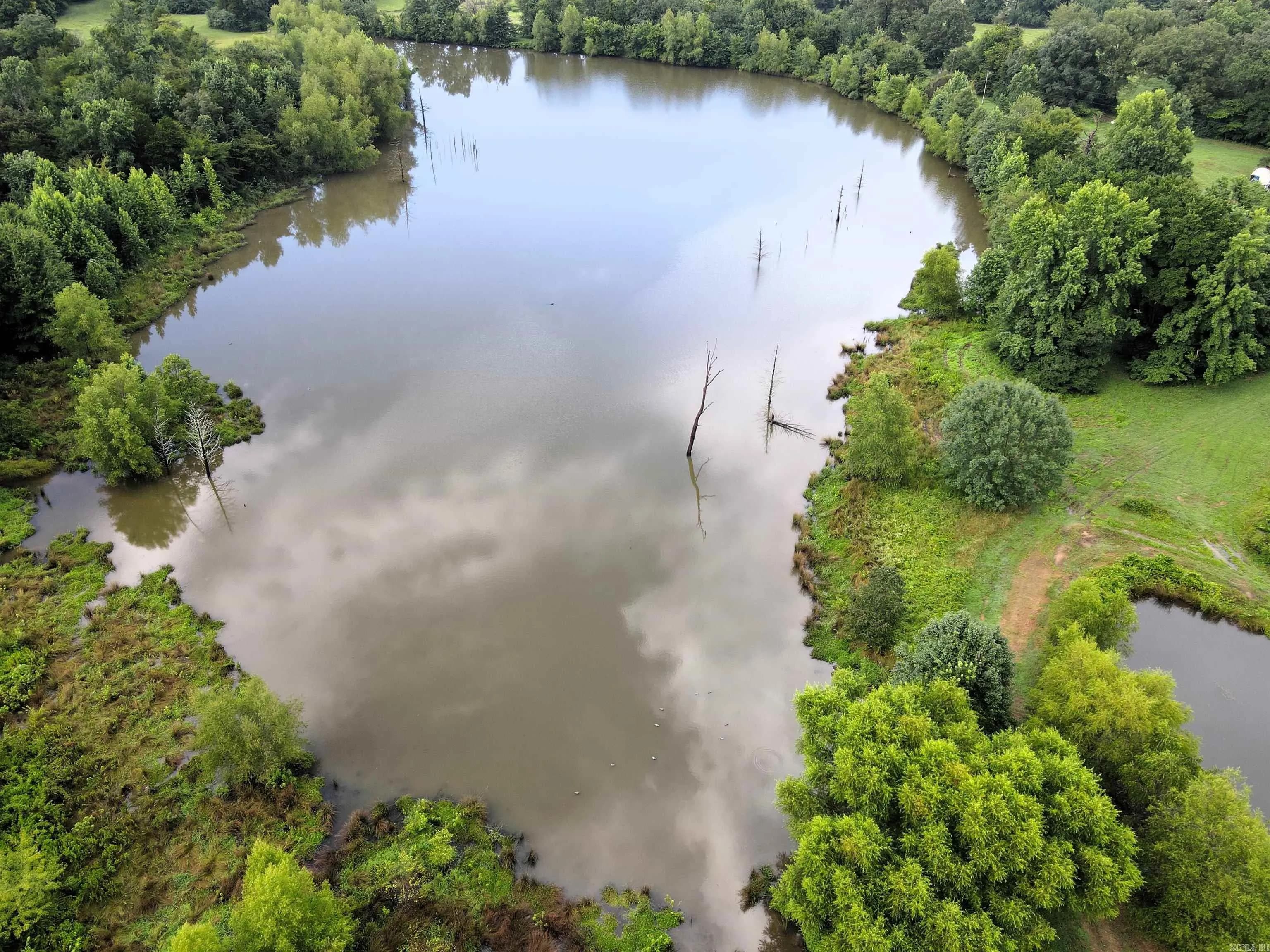 Property at 248  Hill creek - Image 19