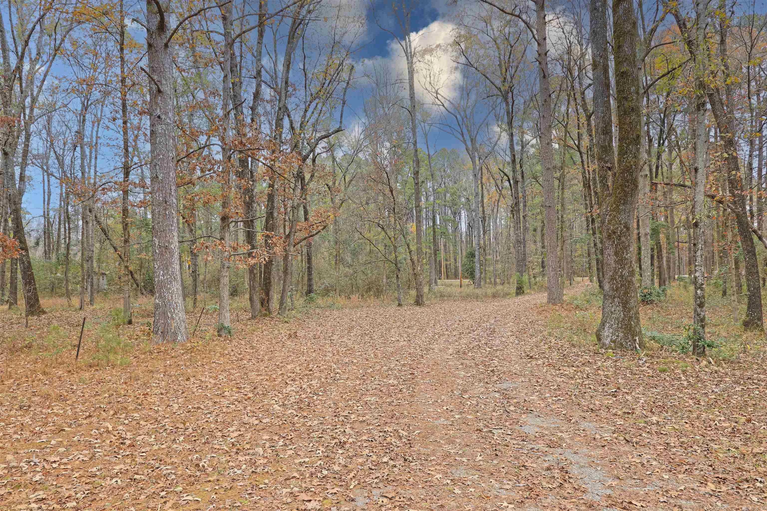Property at 6740  Rayhan rd - Image 20