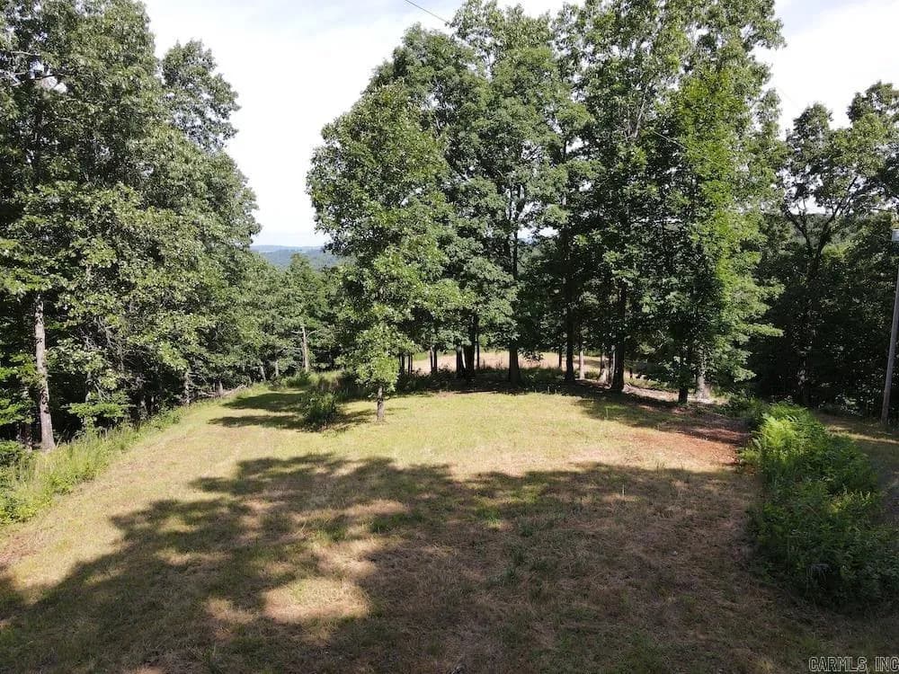 Property at Cane branch road - Image 10