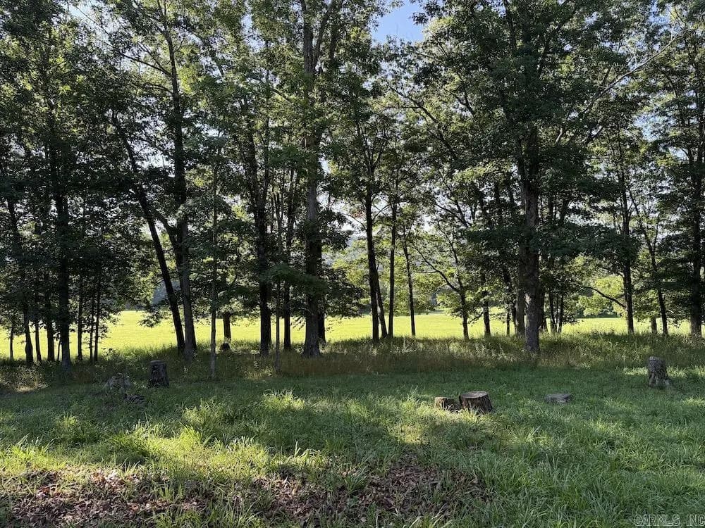 Property at Cr 168 - Image 36