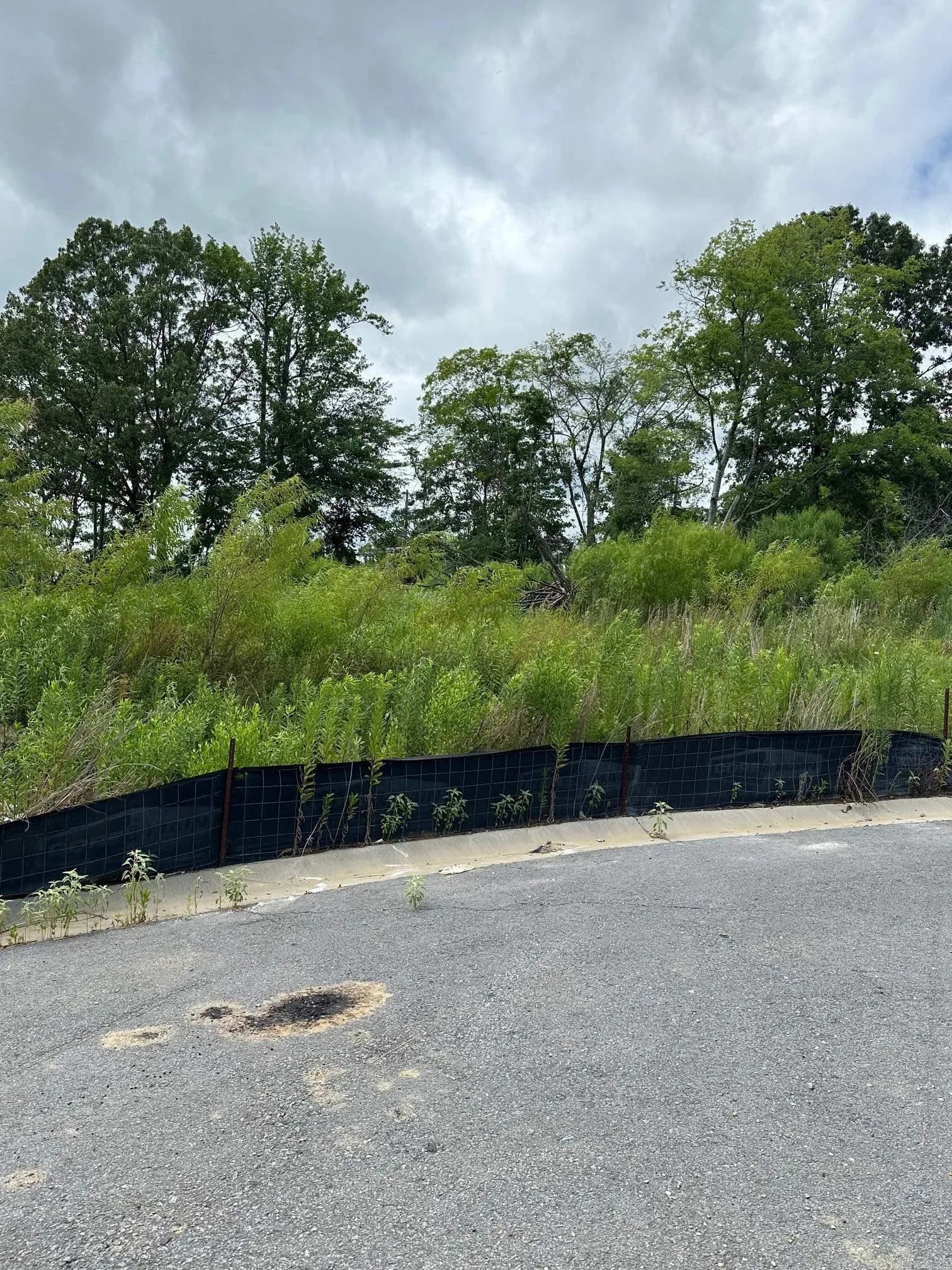 Property at Lot 33  Steeplechase cir