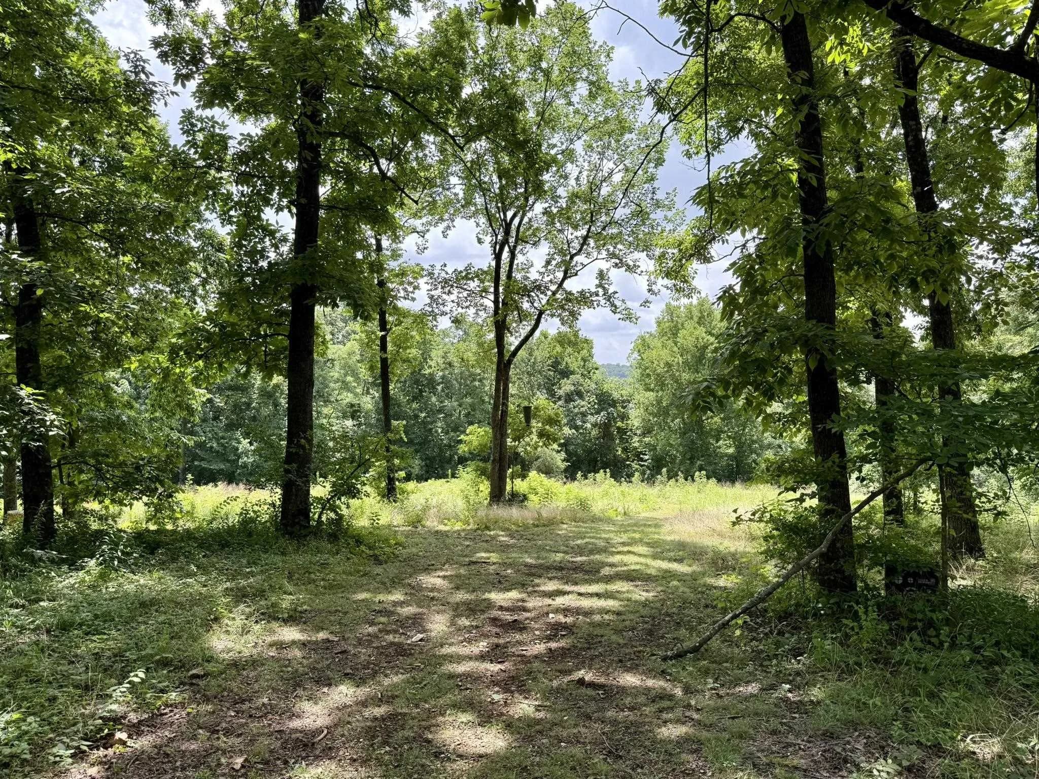 Property at 2061  Mcknight road - Image 43