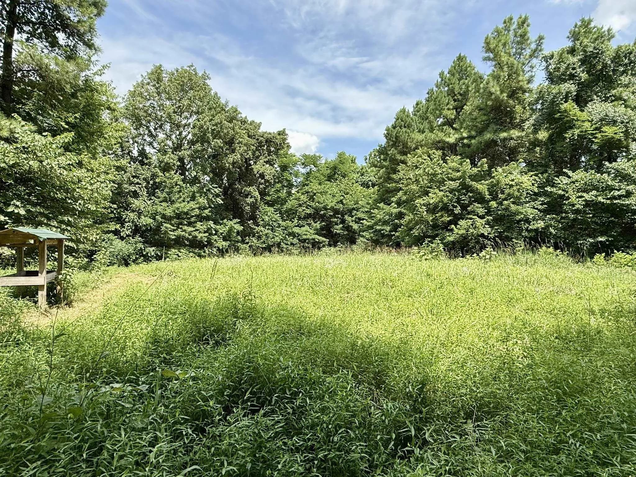 Property at 2061  Mcknight road - Image 42
