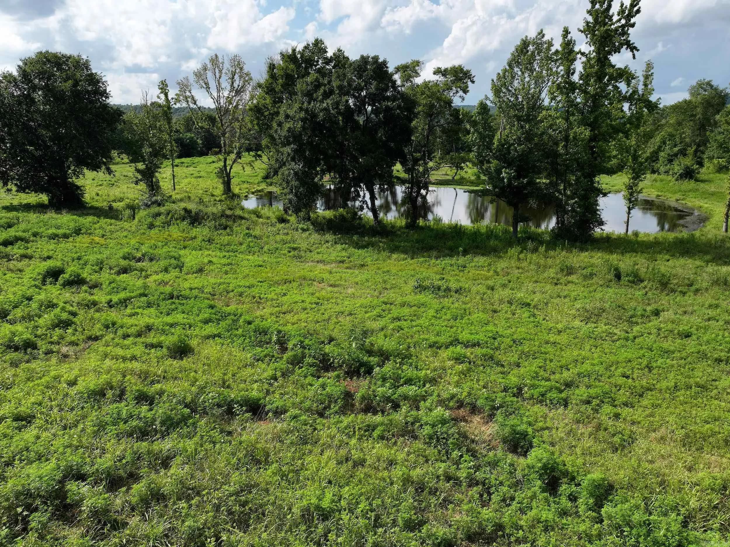 Property at XXX  Rock creek - Image 37