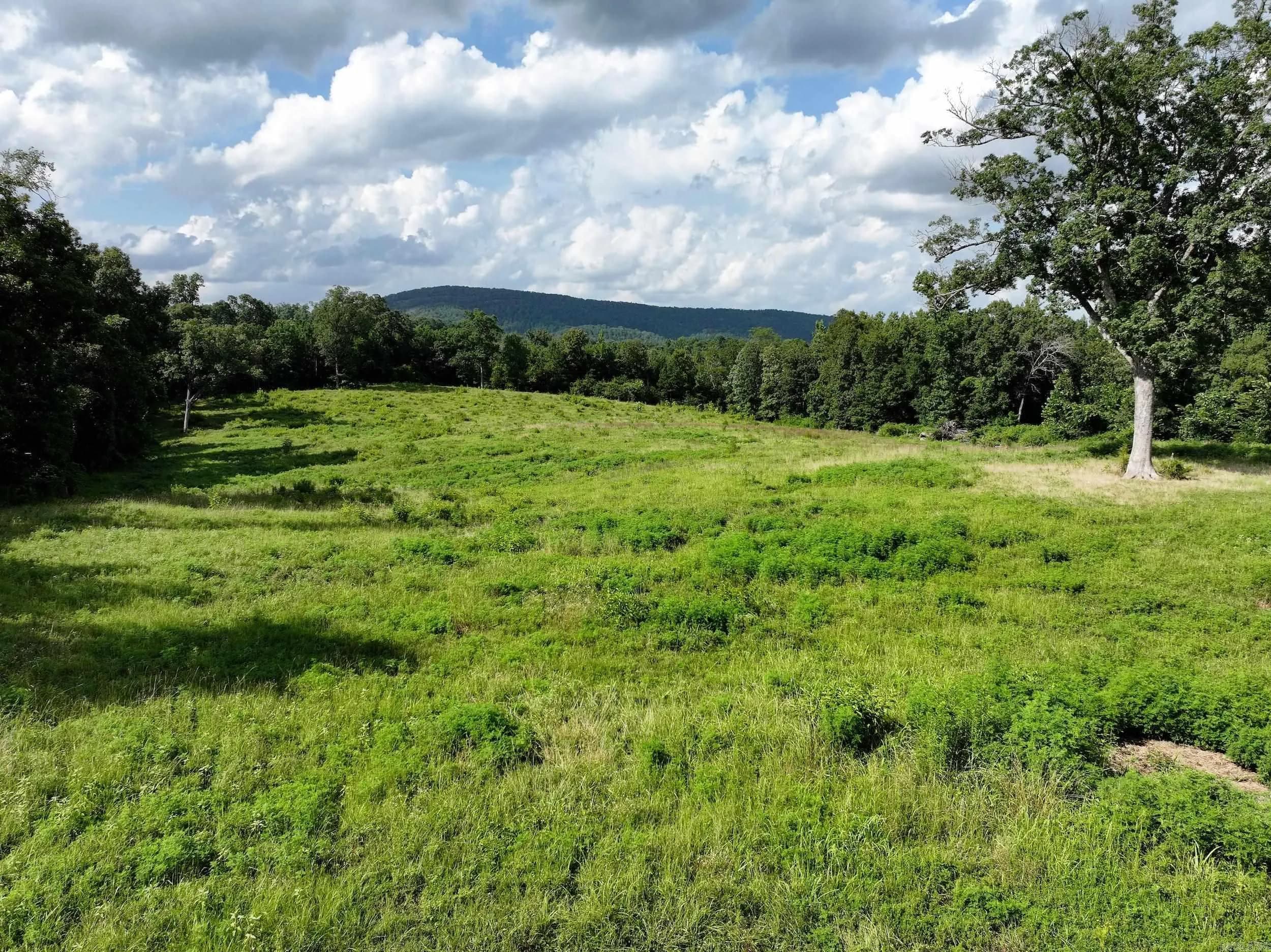 Property at XXX  Rock creek - Image 9