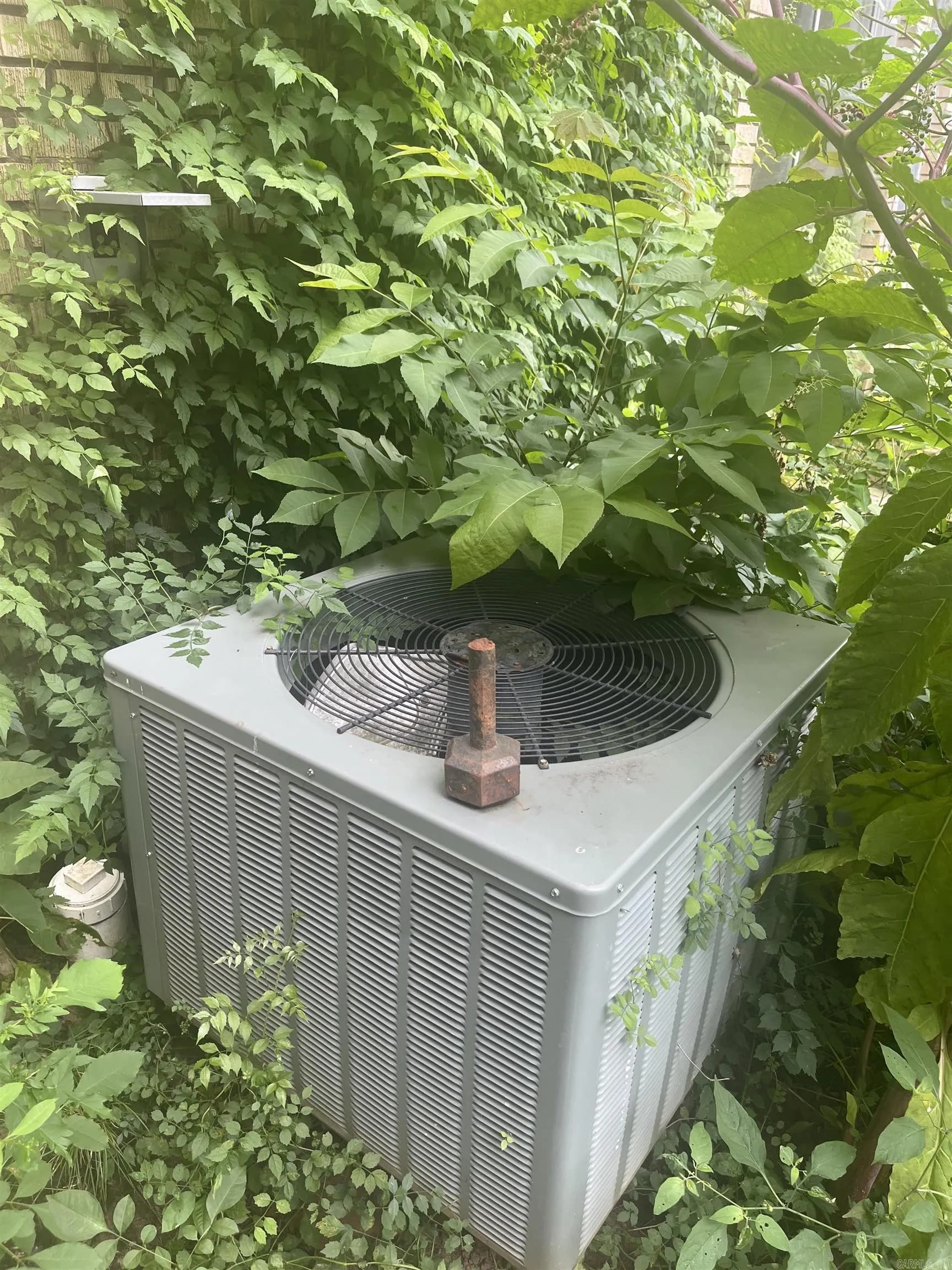 Property at 409 W 21st - Image 16