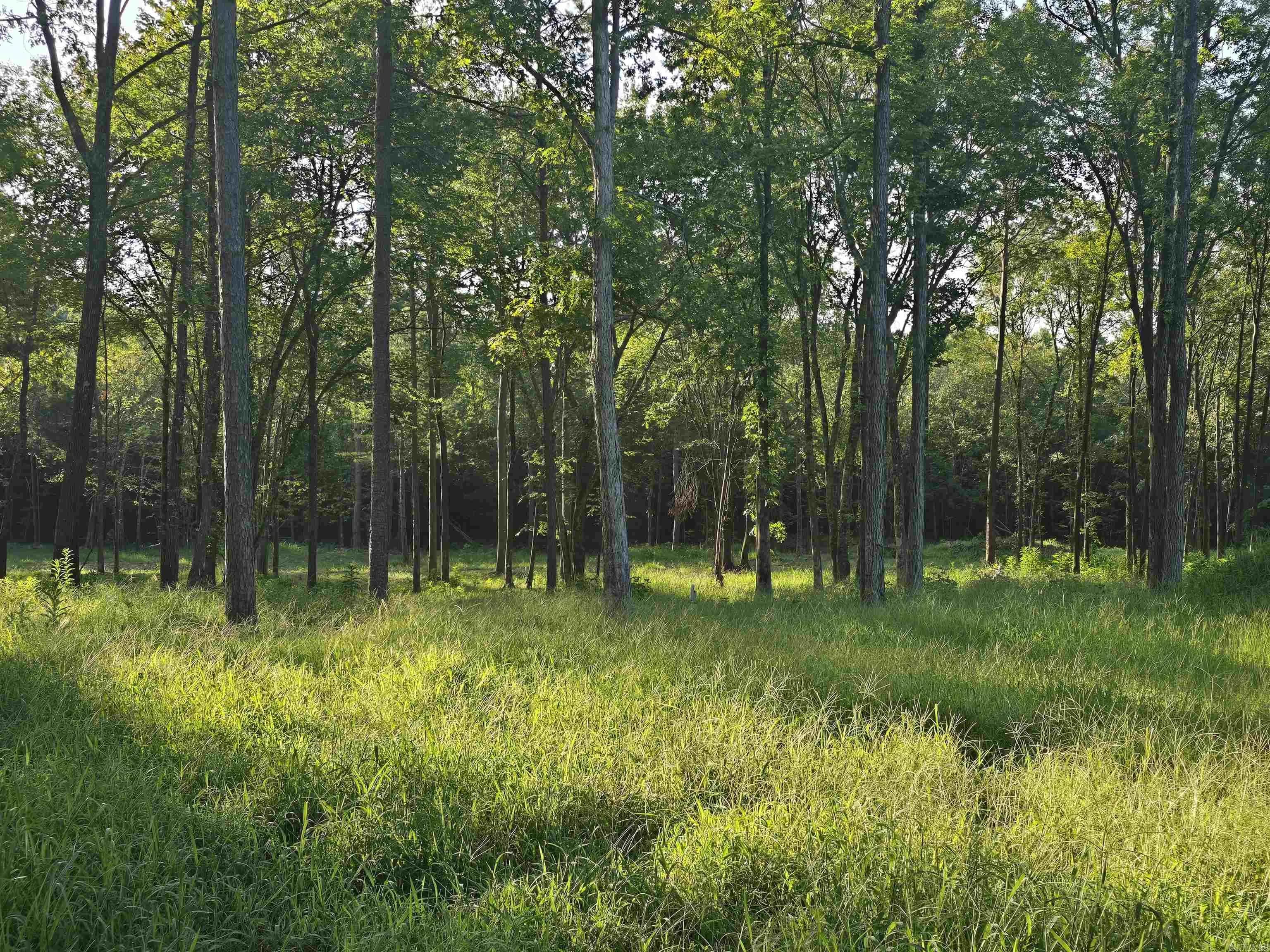 Property at 210  Polk road 121 - Image 12