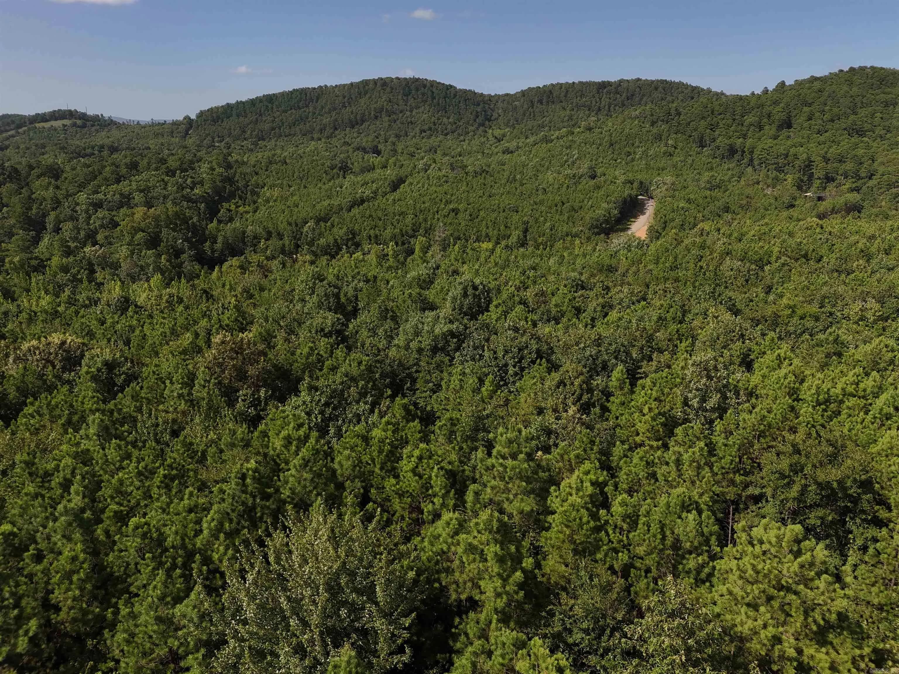 Property at Lot 10  Polk road 78 - Image 2