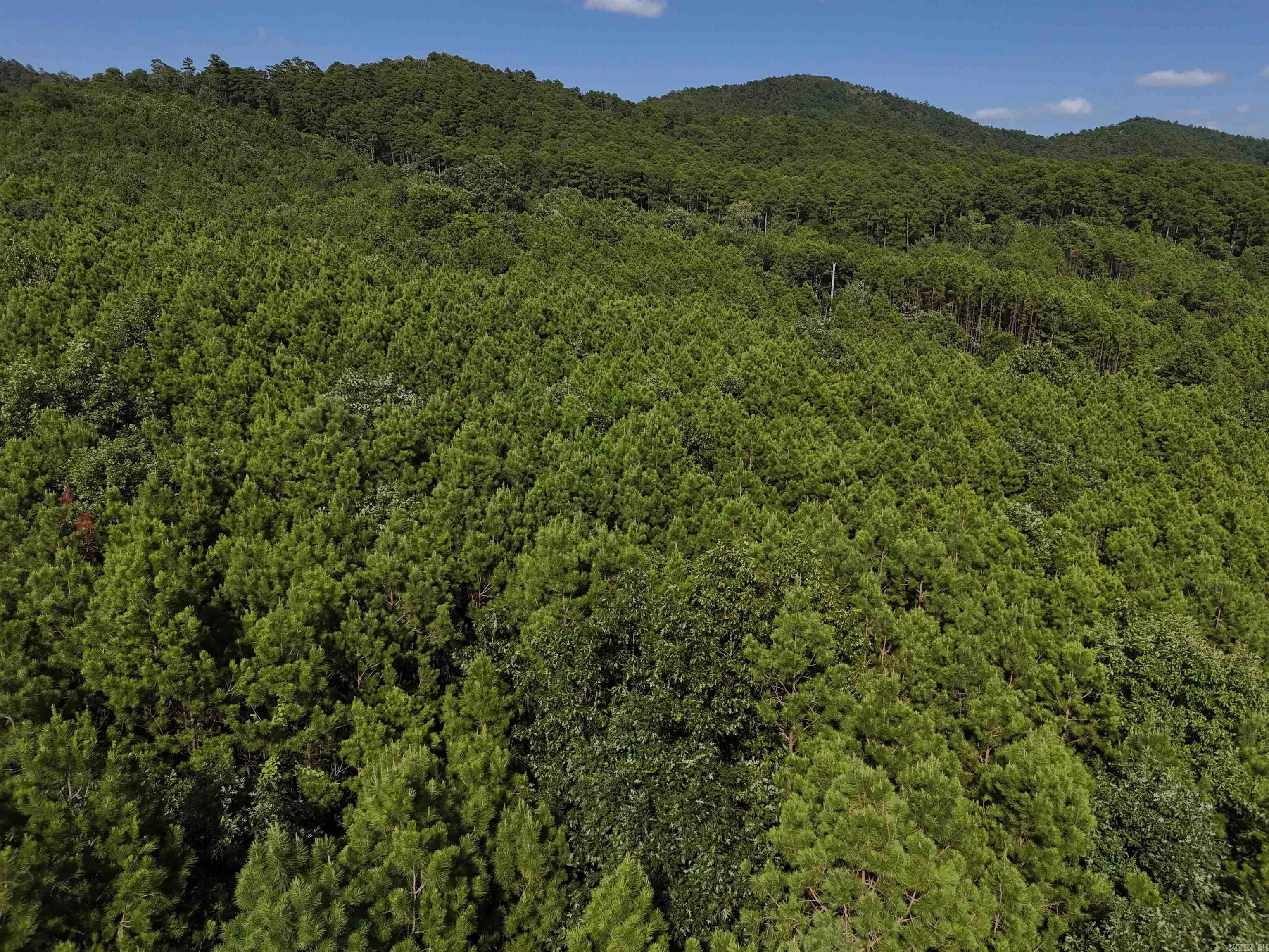 Property at Lot 14  Polk road 78 - Image 2
