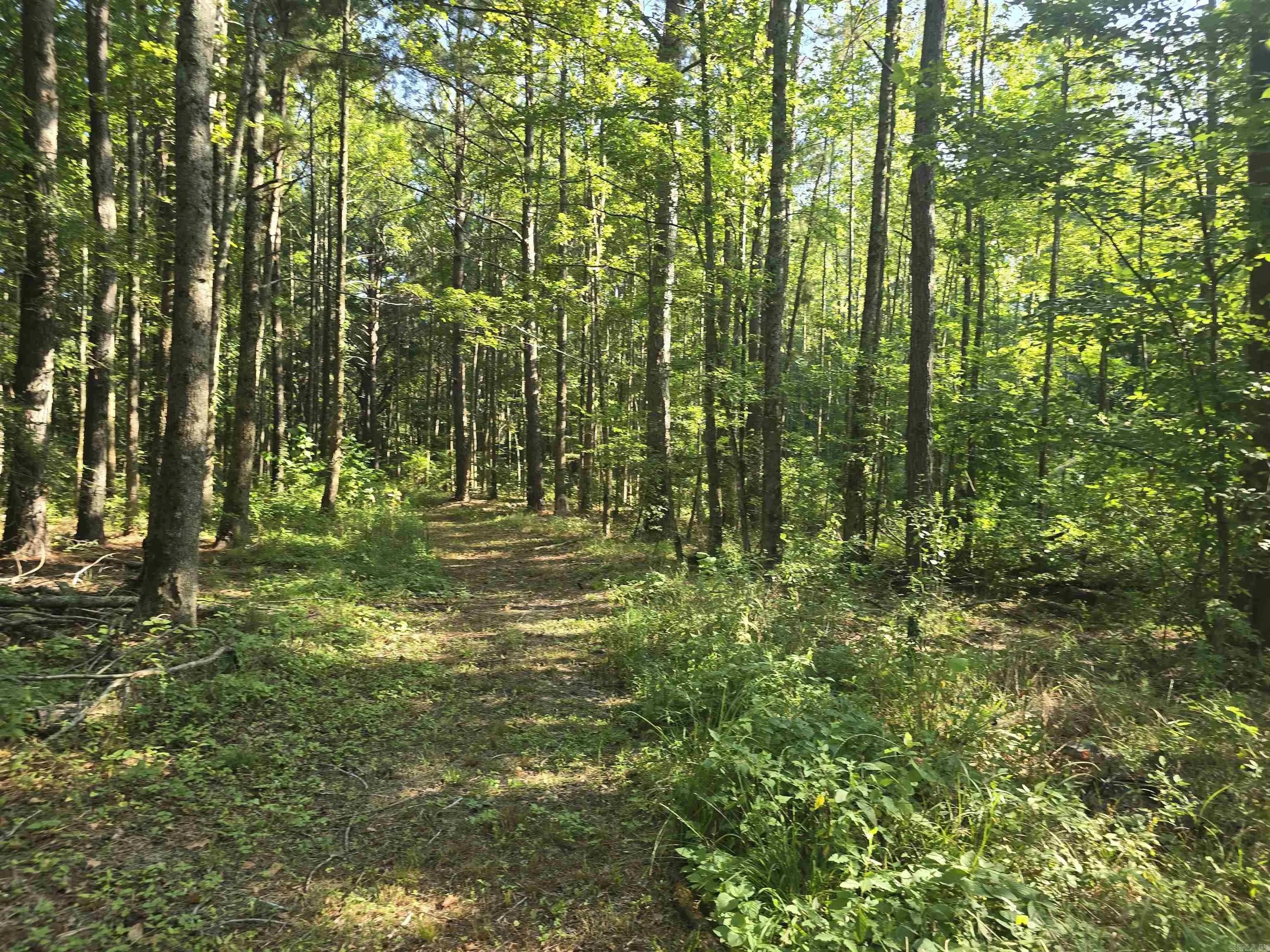 Property at 2571  Highway 31 - Image 23