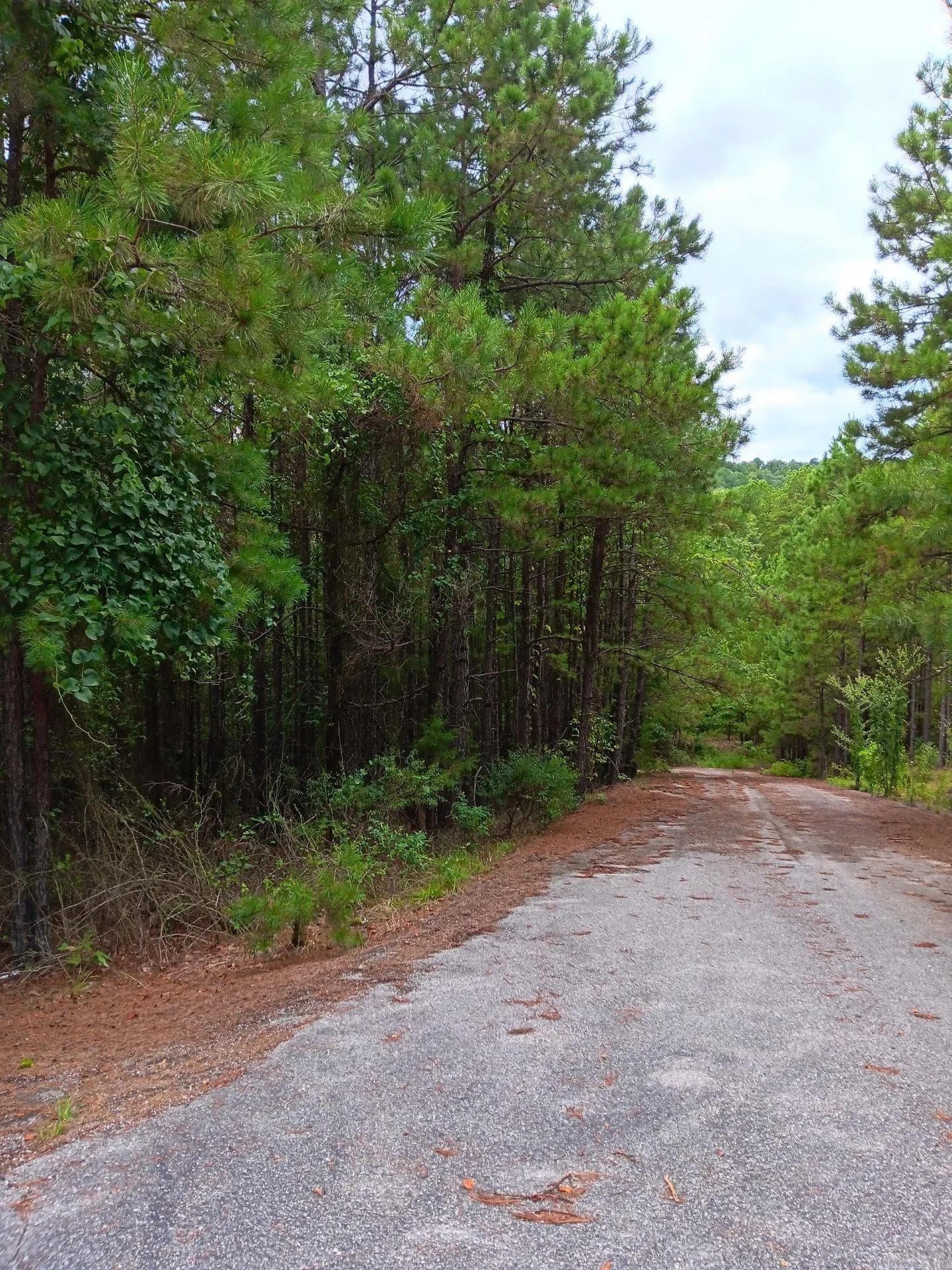Property at Lot 14  Thompson cove lane - Image 6