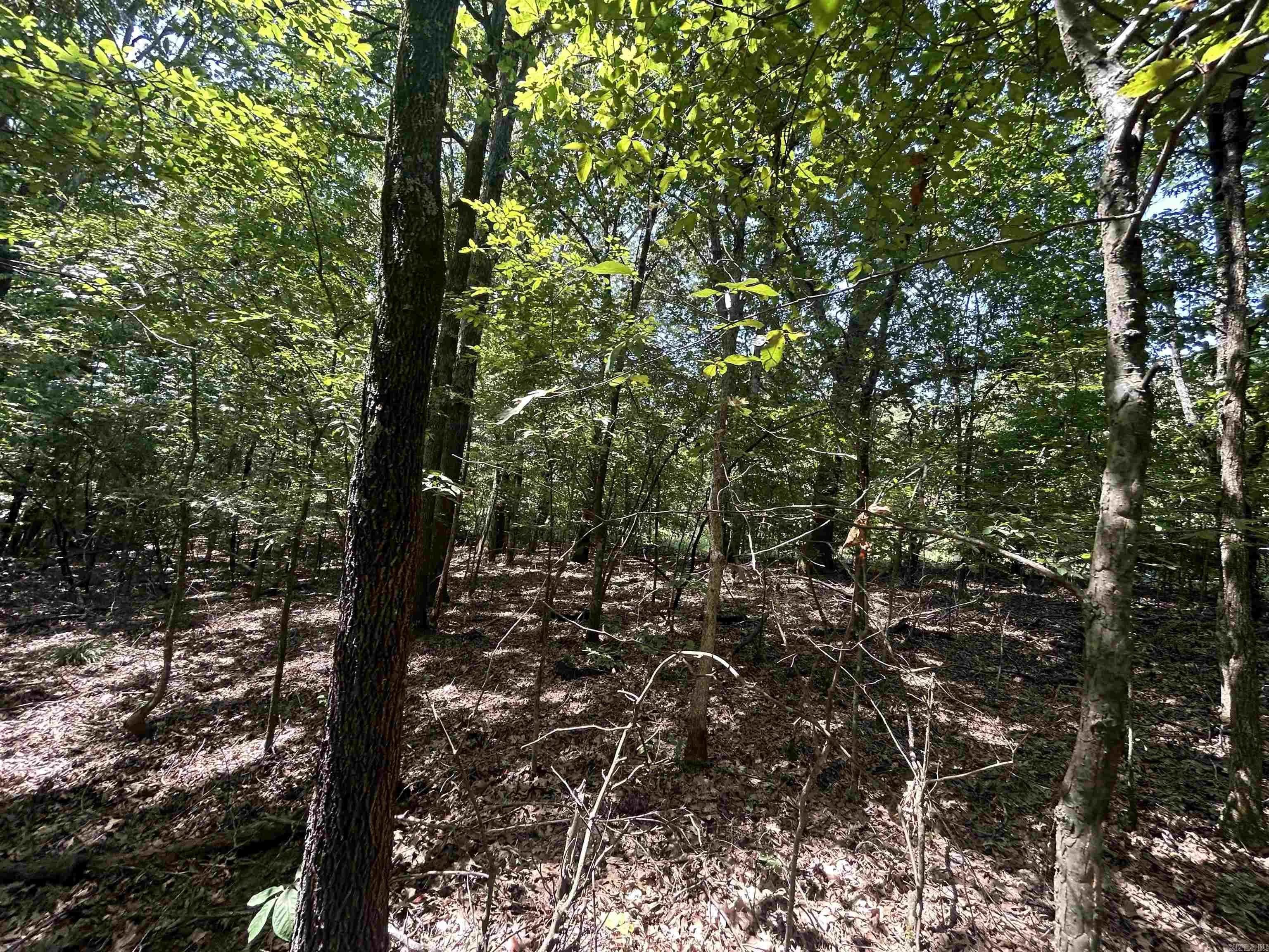 Property at Cr 325 - Image 3