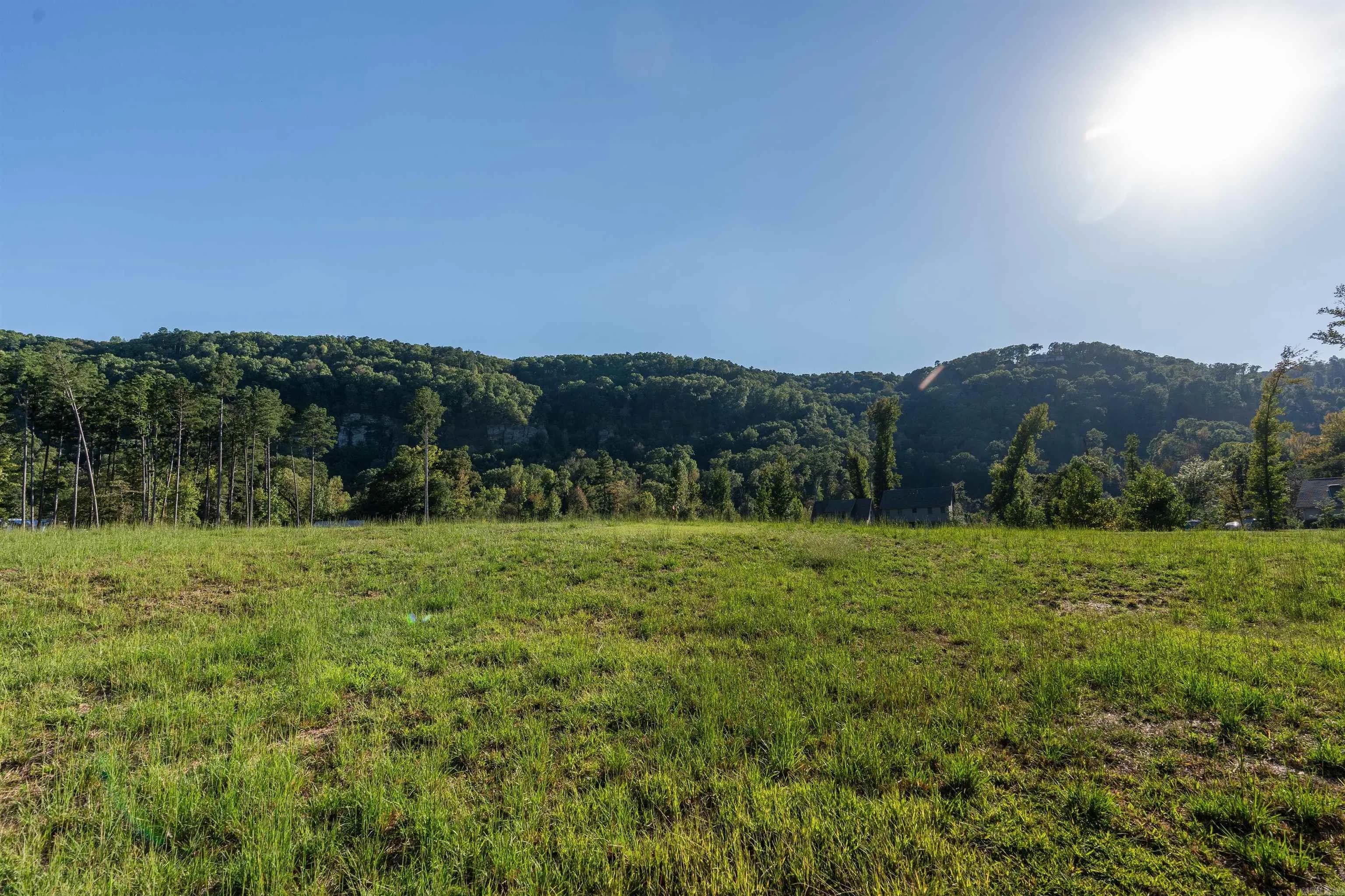 Property at 544  Wildflower - Image 29
