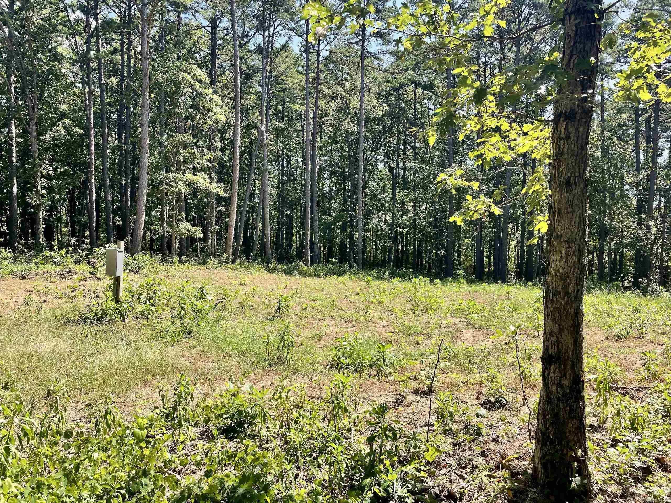 Property at 16519  Highway 16 w - Image 13