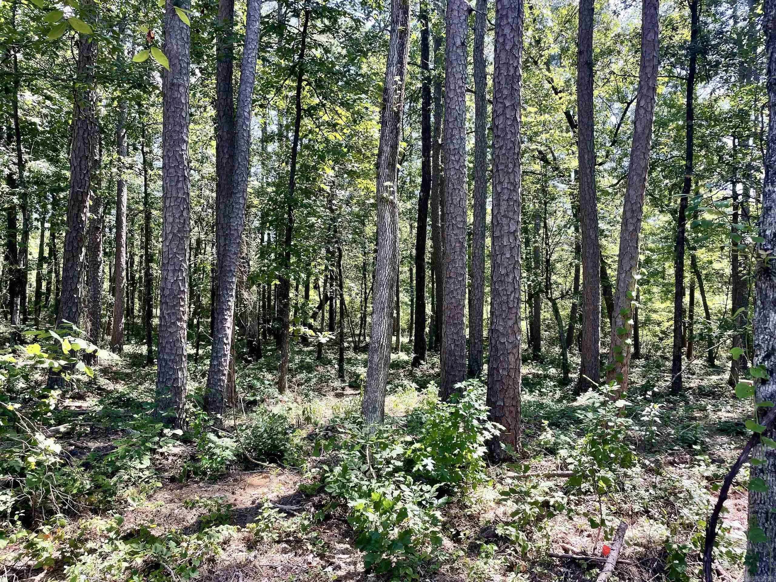 Property at 16519  Highway 16 w - Image 21