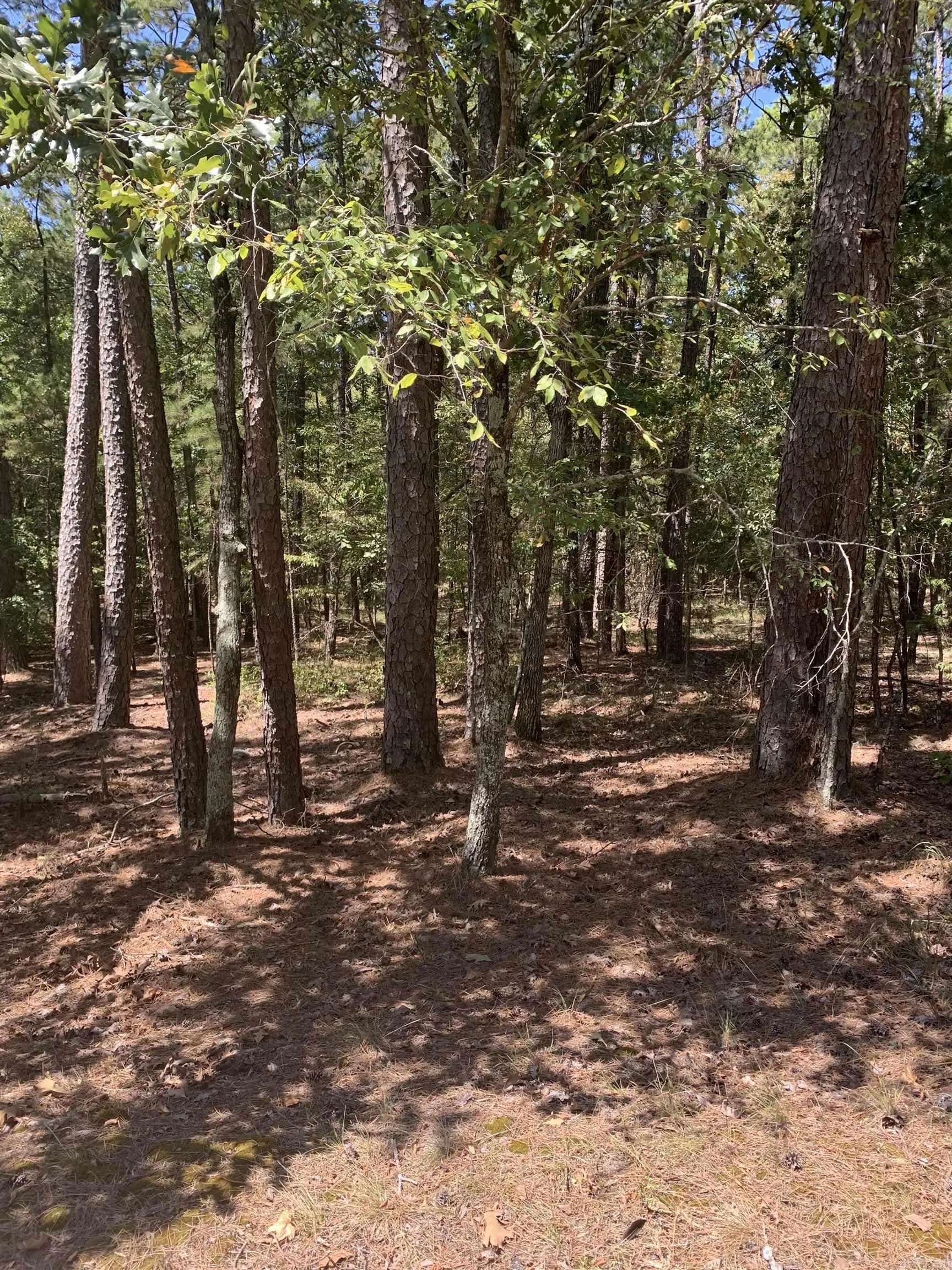 Property at 17  Fonsagrada cir - Image 5