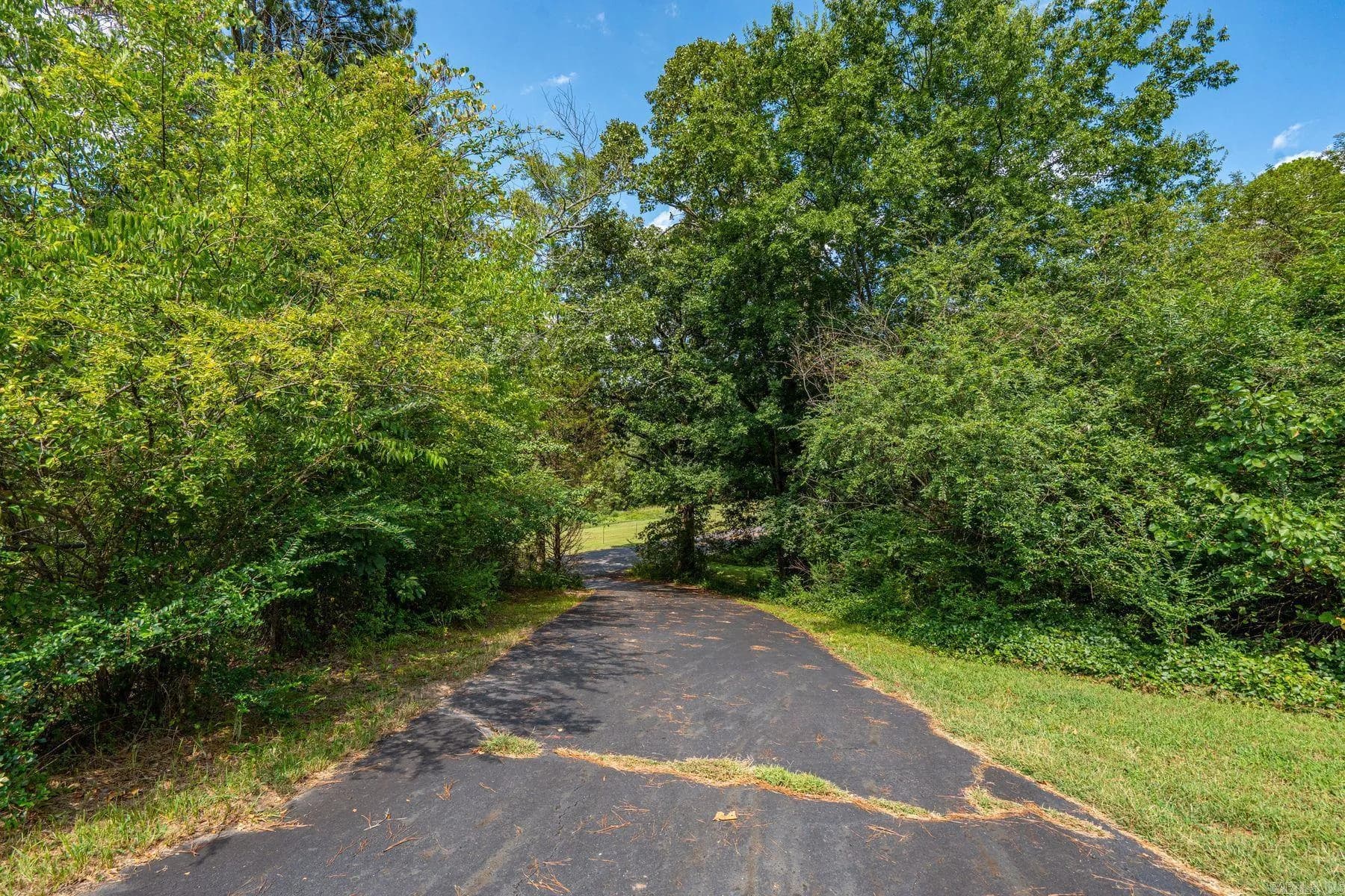 Property at 348  Columbia hills street - Image 5