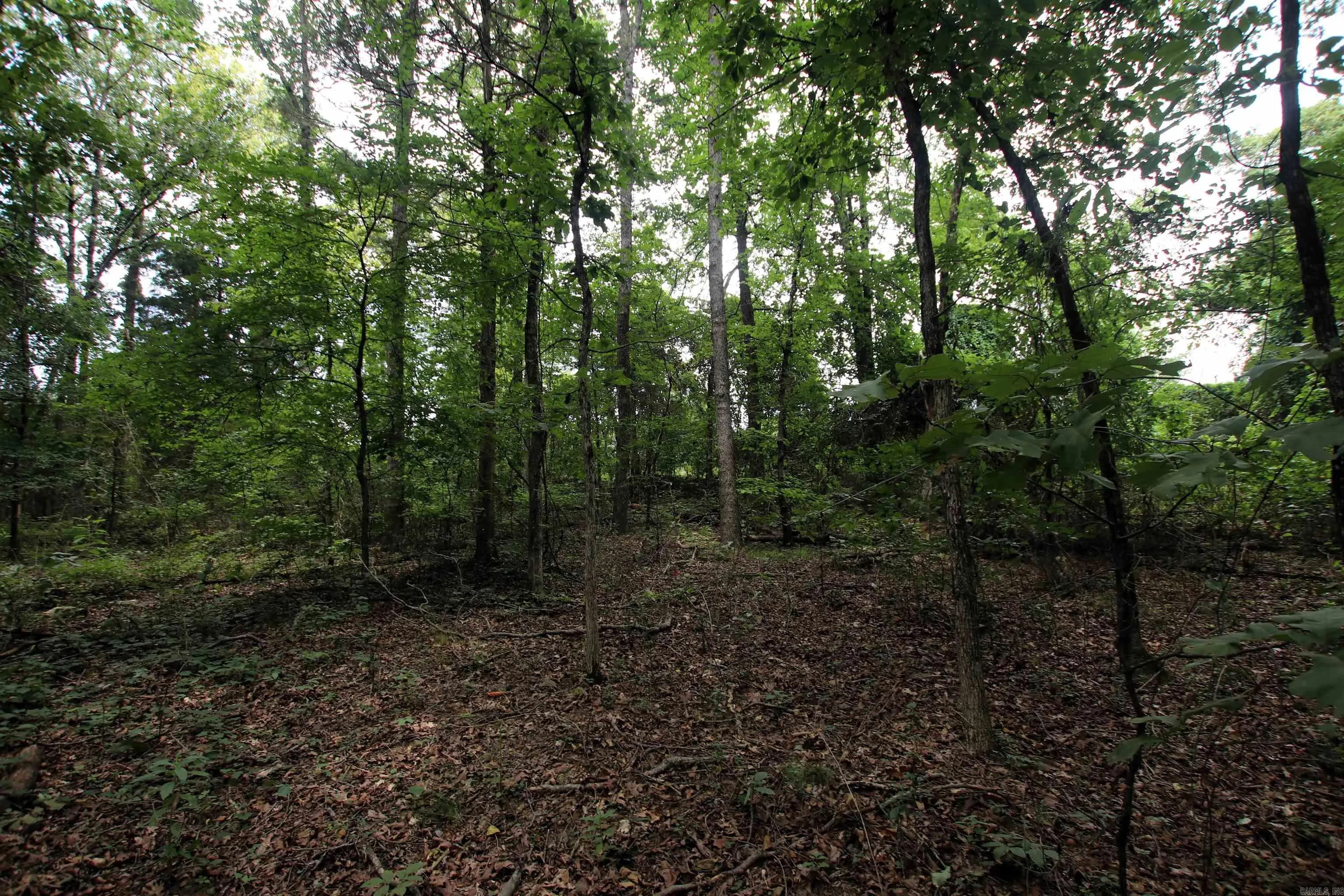 Property at 000  Merryman - Image 28