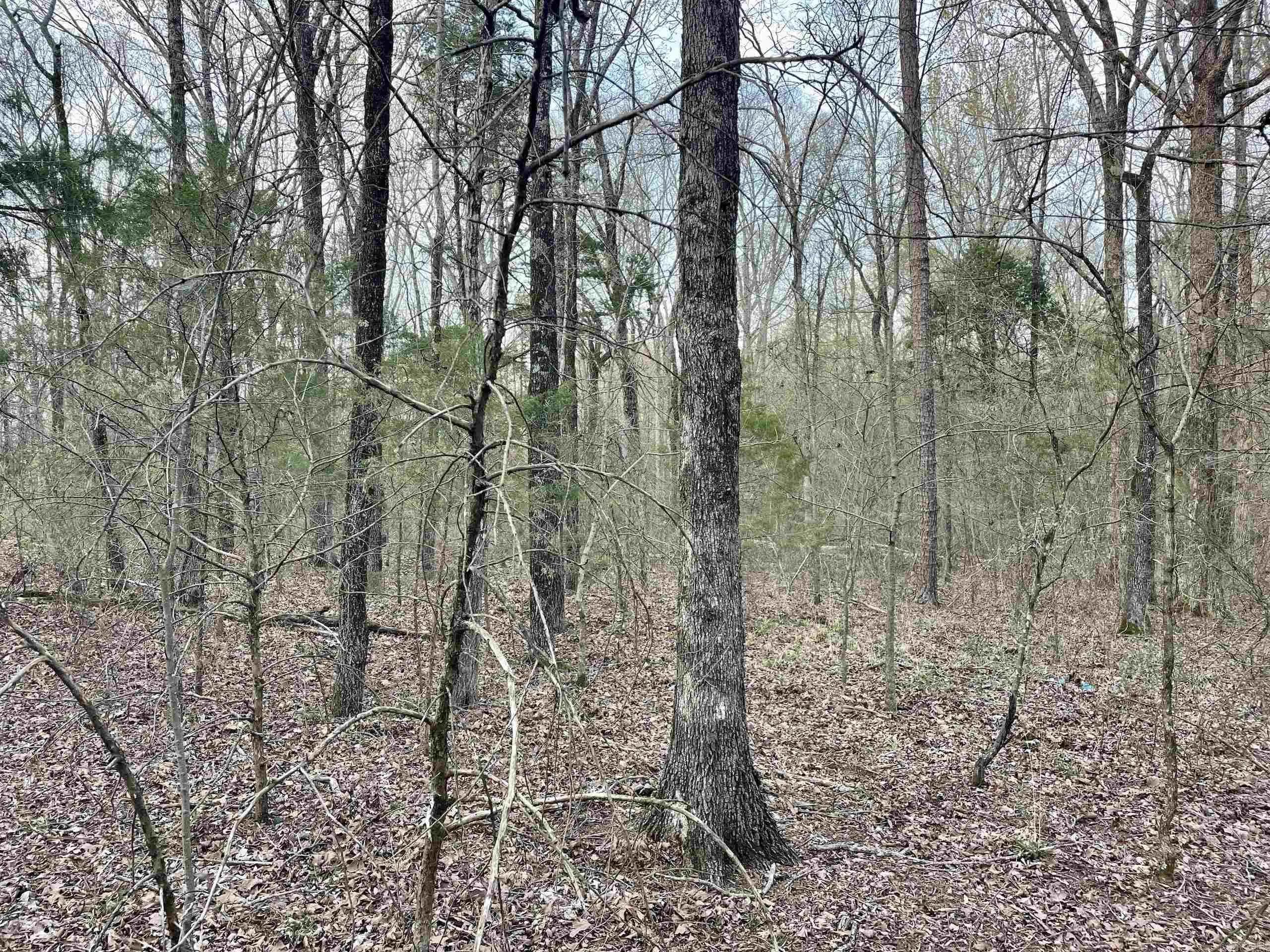 Property at 000  Trout way - Image 9