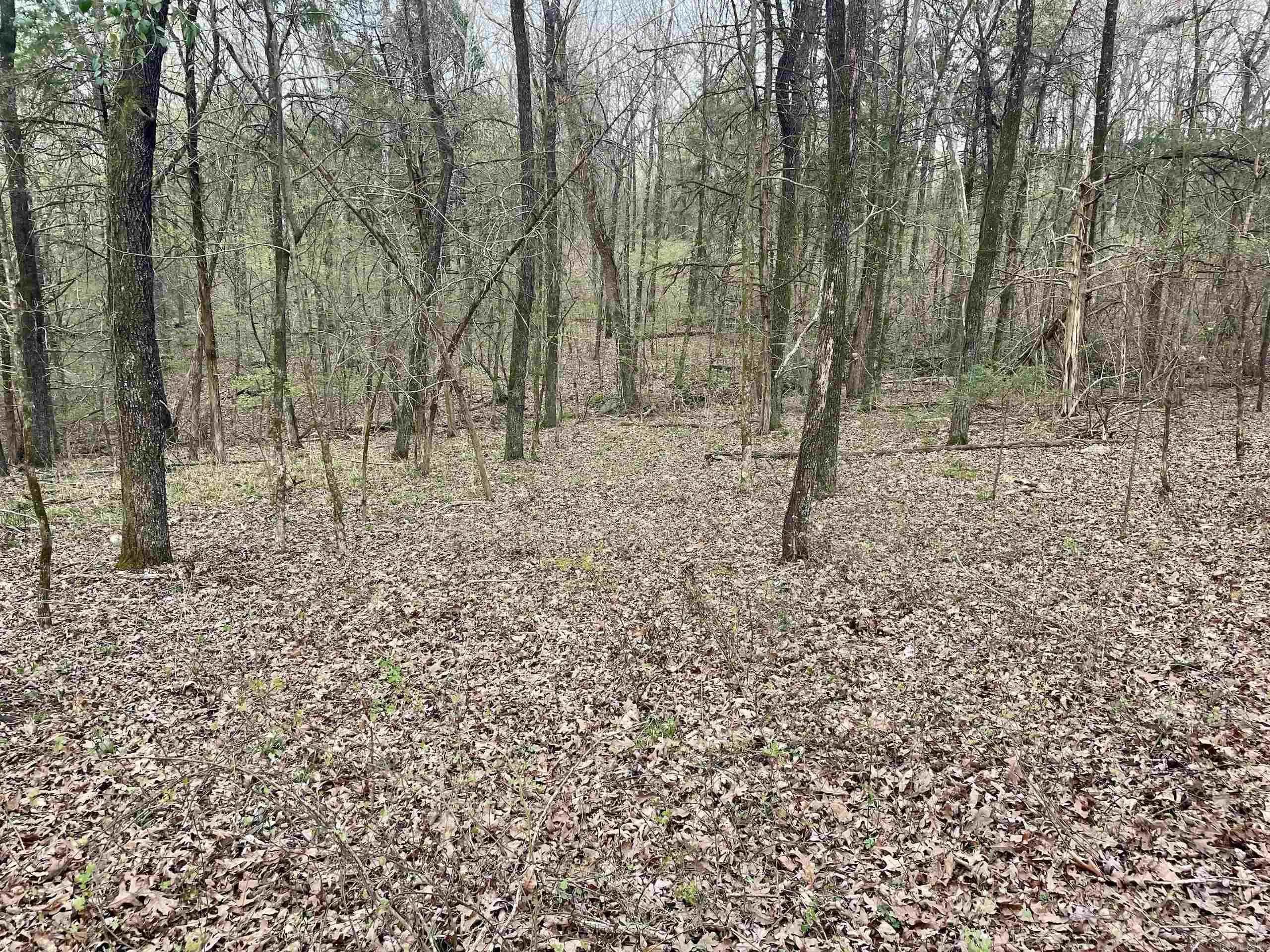 Property at 000  Trout way - Image 39