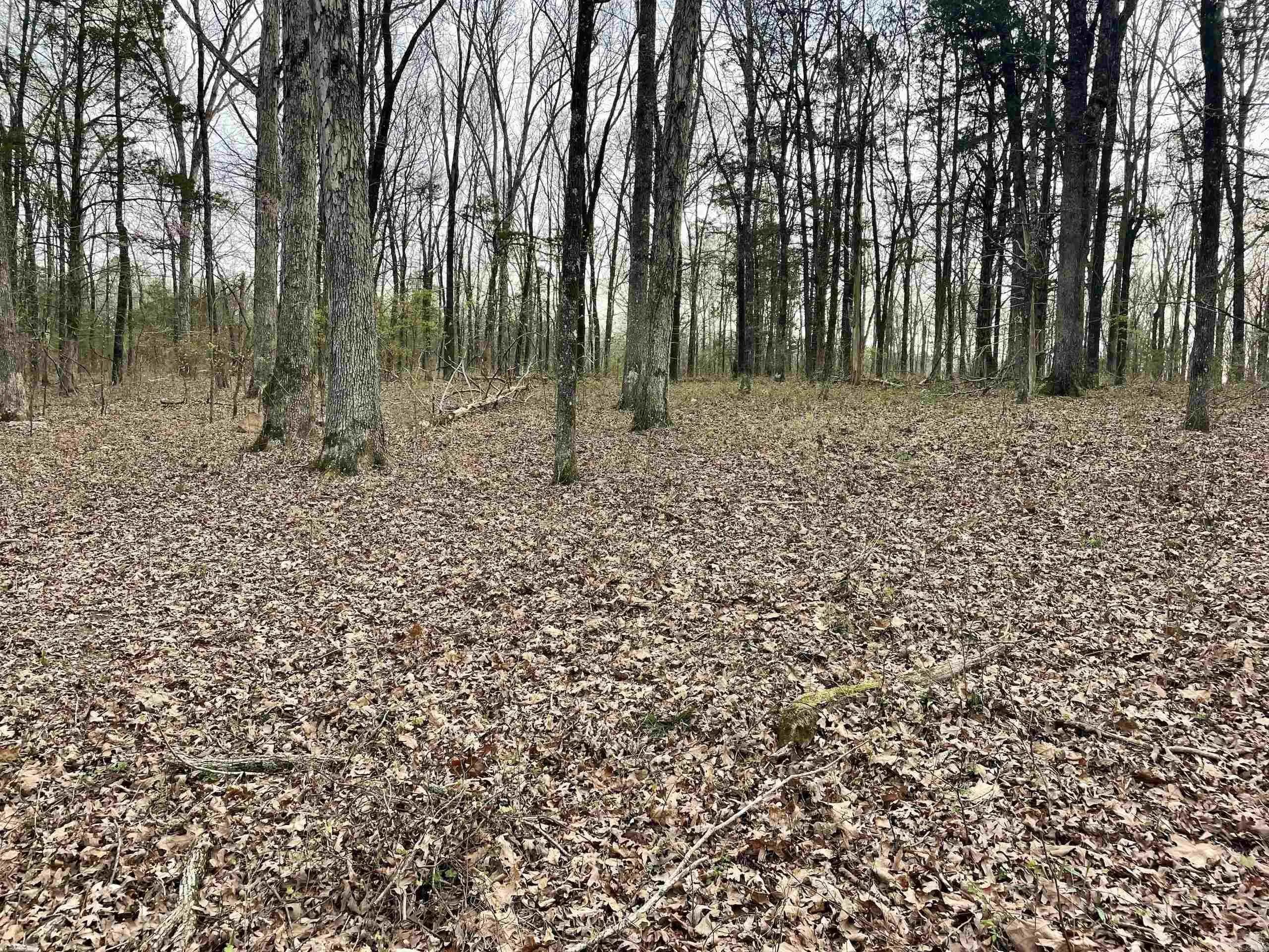 Property at 000  Trout way - Image 38