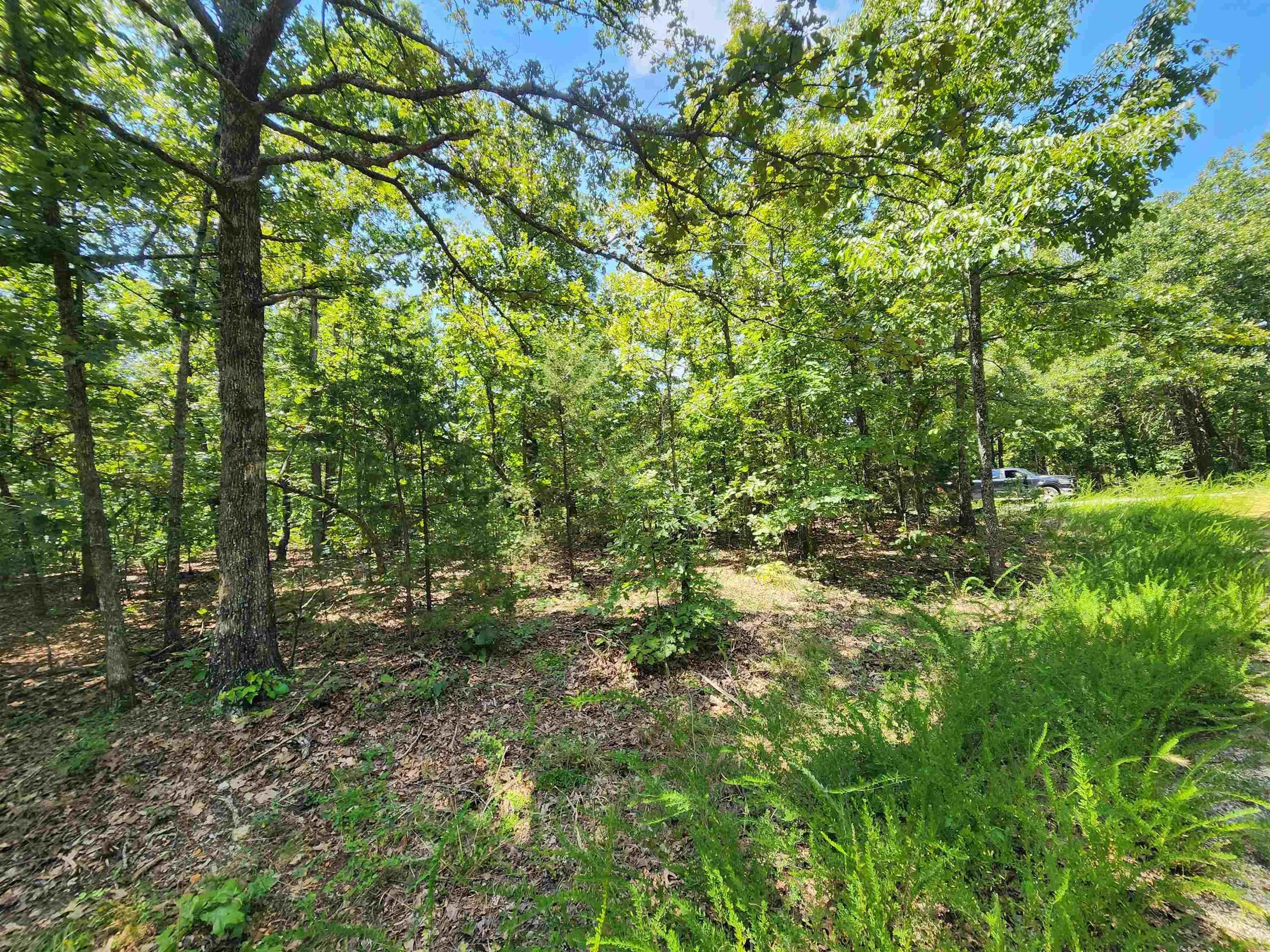 Property at L-1,2,3, B-19  Nicatouse - Image 1
