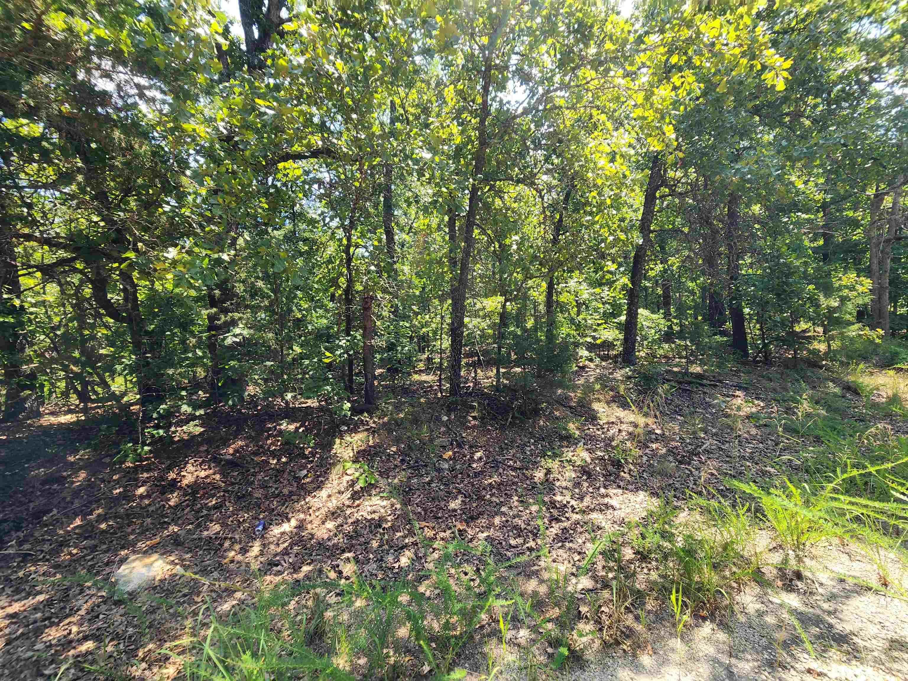 Property at L-1,2,3, B-19  Nicatouse - Image 6