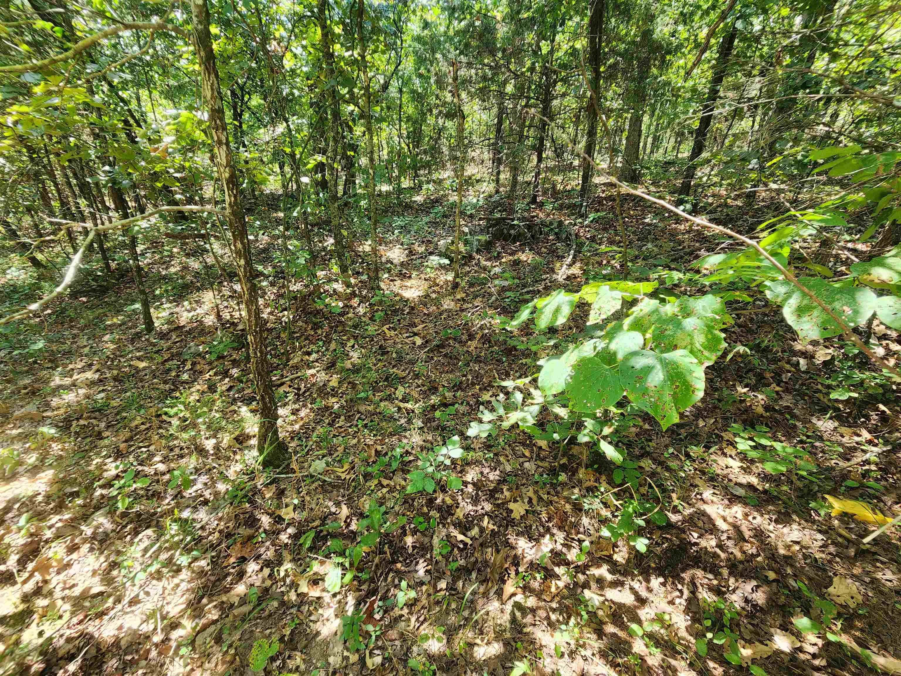 Property at L-50, B-3  Lightning - Image 7