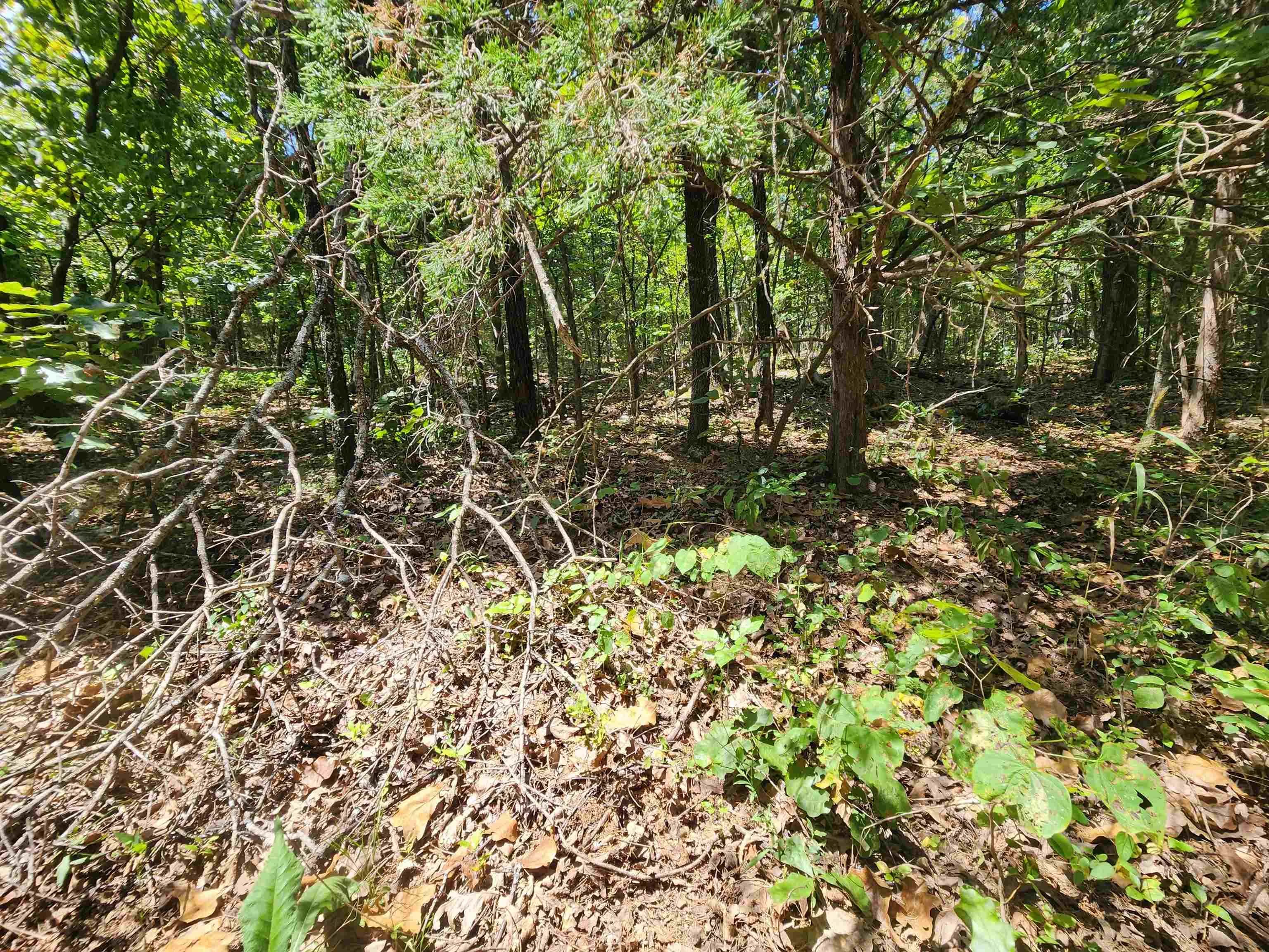 Property at L-50, B-3  Lightning - Image 17