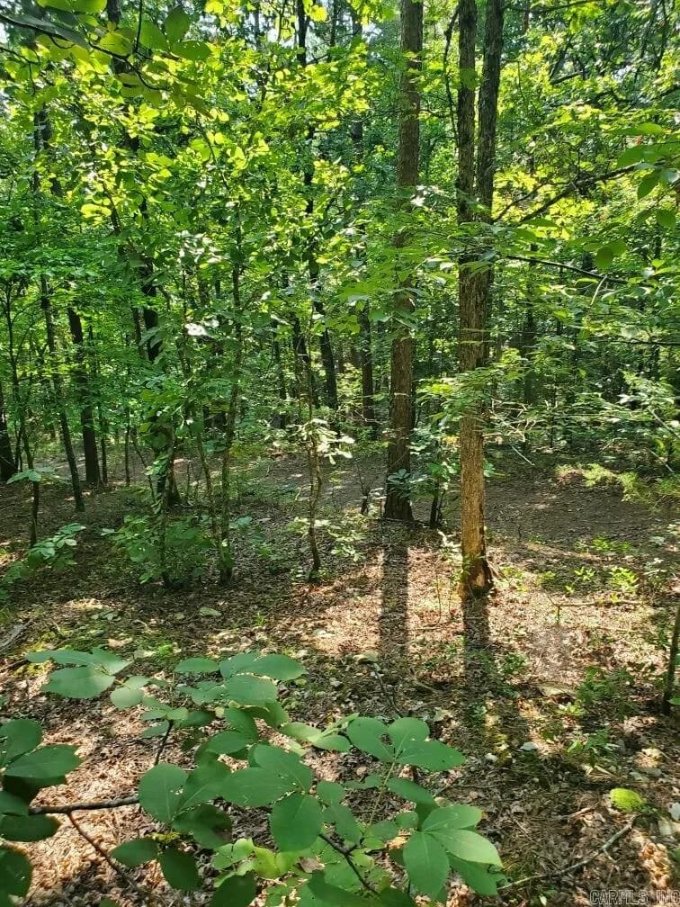 Property at TBD  Polk road 62 - Image 9