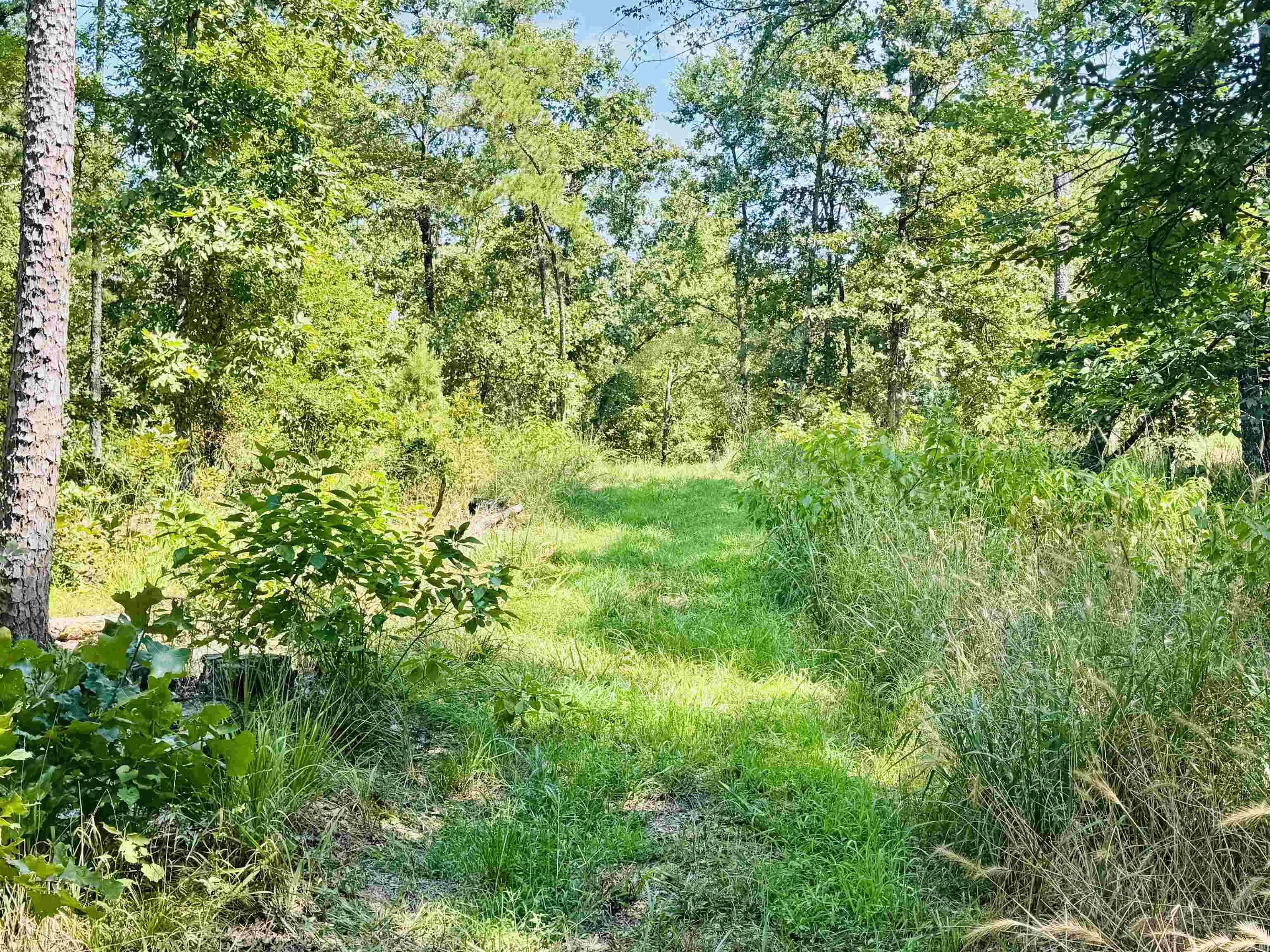Property at TBD  Collins field - Image 29