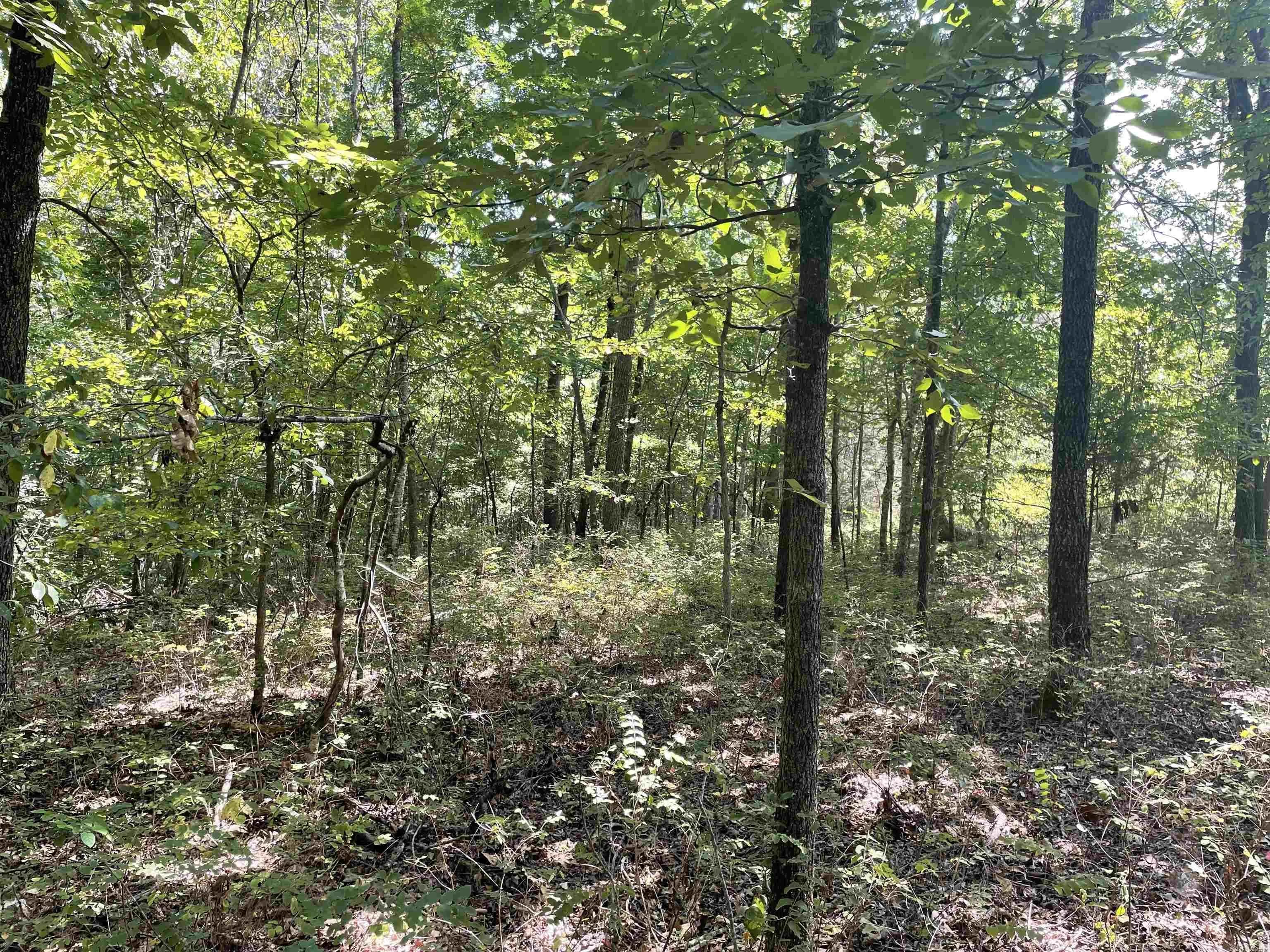 Property at 000  Gaylor rd - Image 10