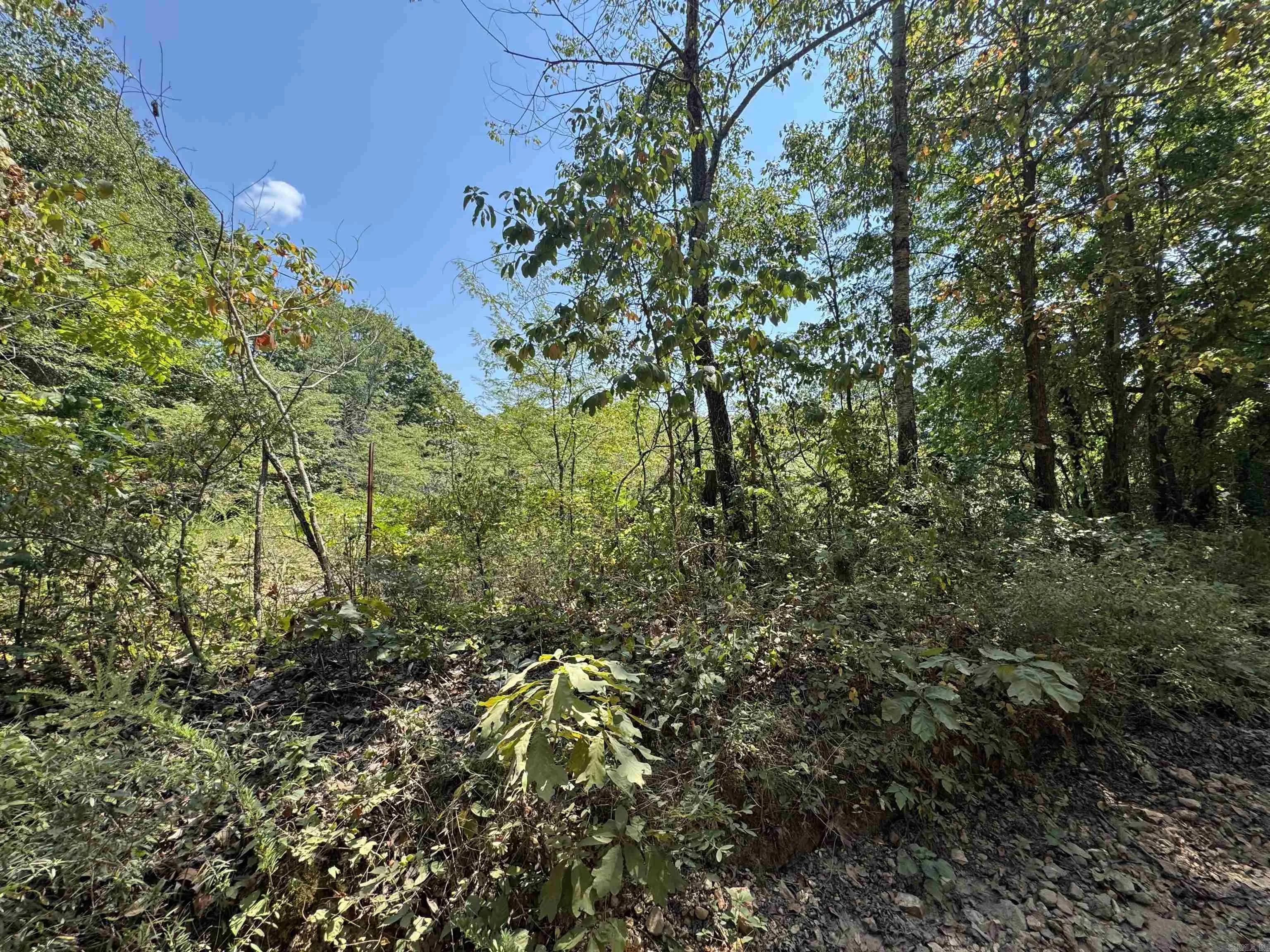 Property at 000  Gaylor rd - Image 13