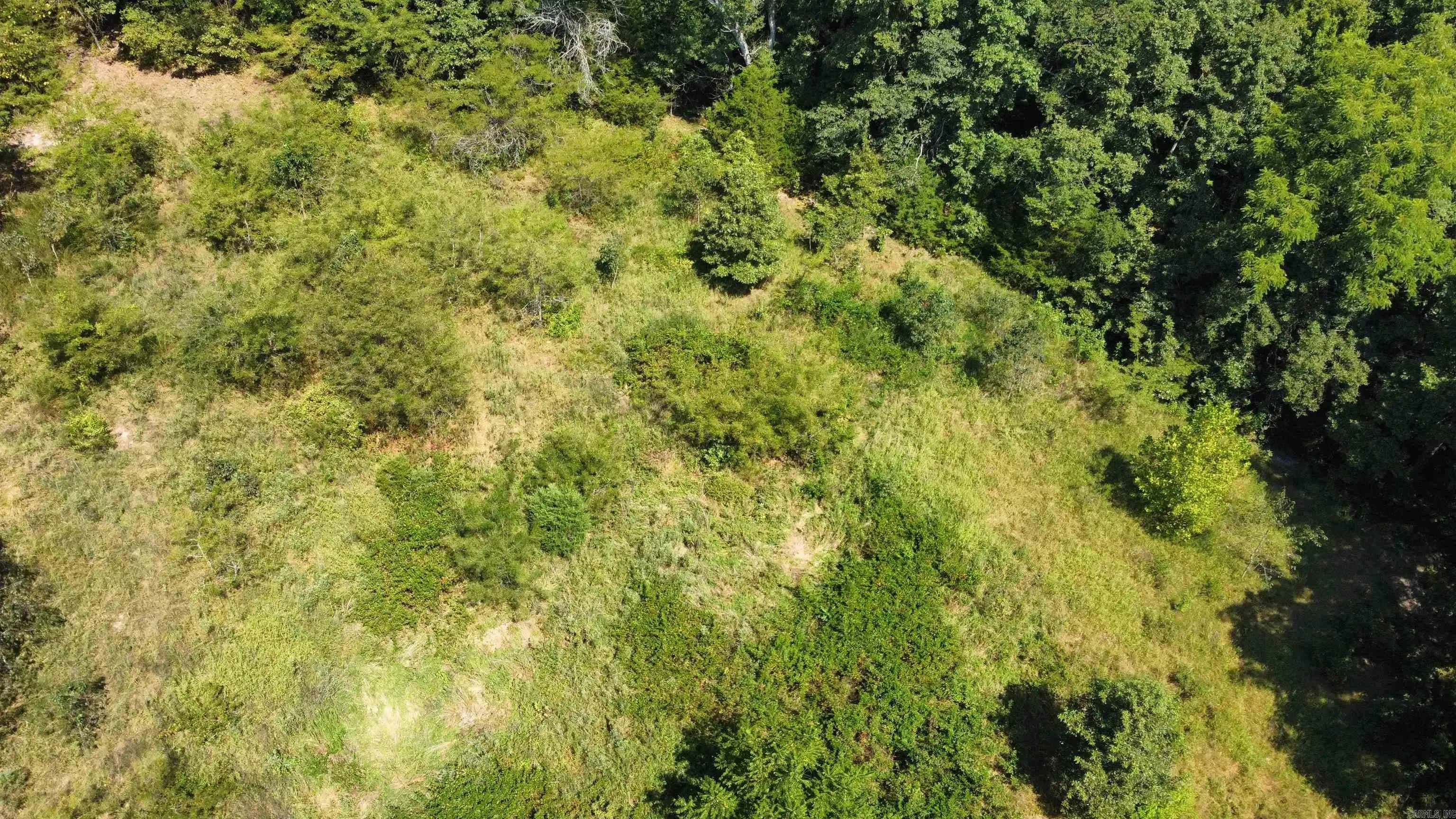 Property at 000  Holmes rd - Image 11