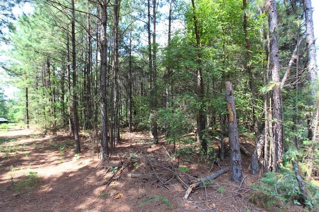 Property at 570  Mt vernon - Image 5