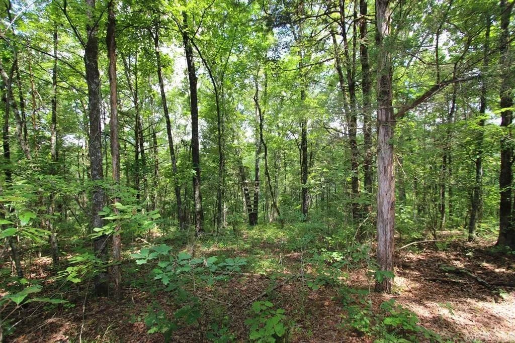 Property at 570  Mt vernon - Image 17