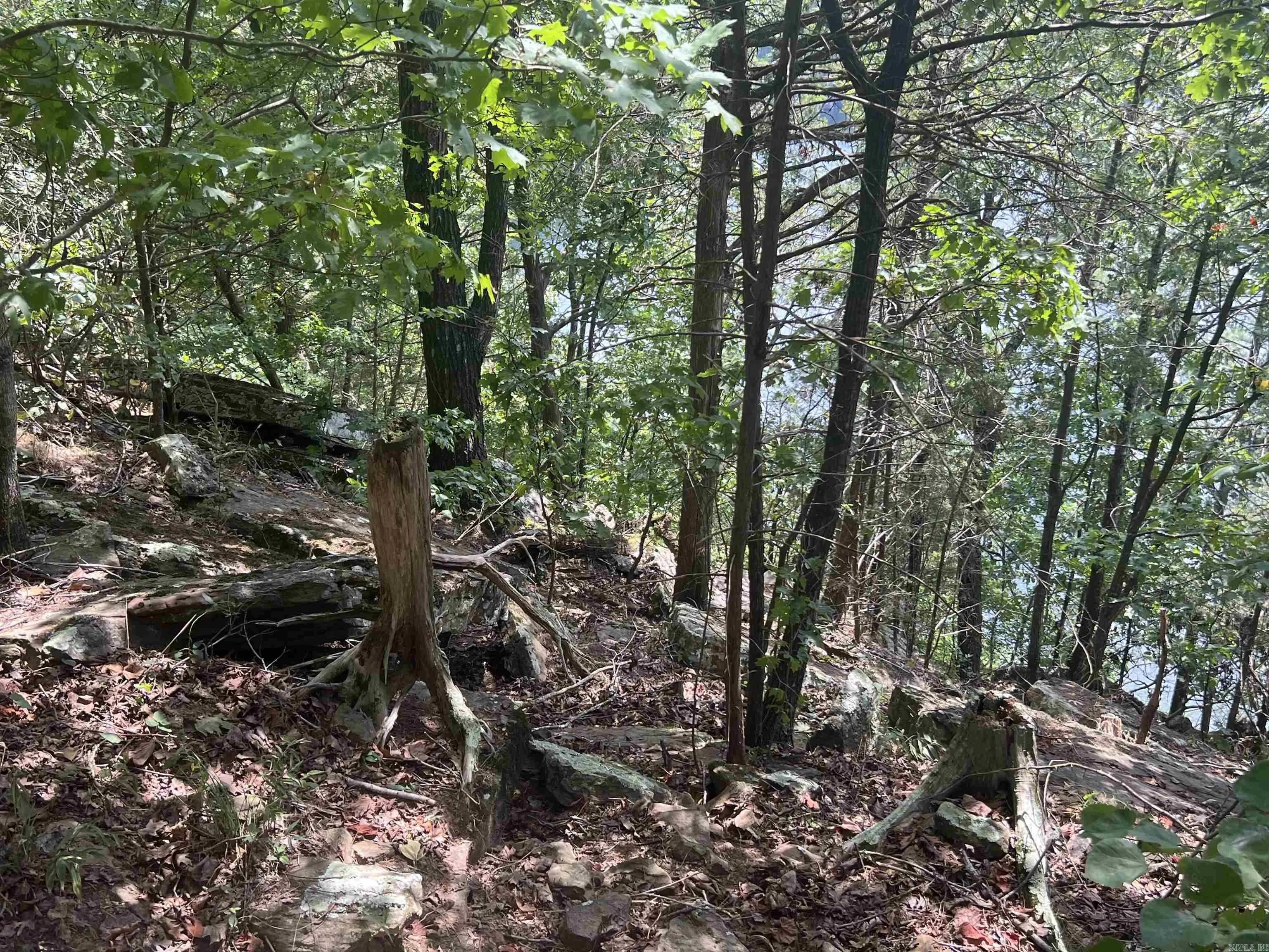 Property at 4492 A  Burnt ridge rd - Image 9