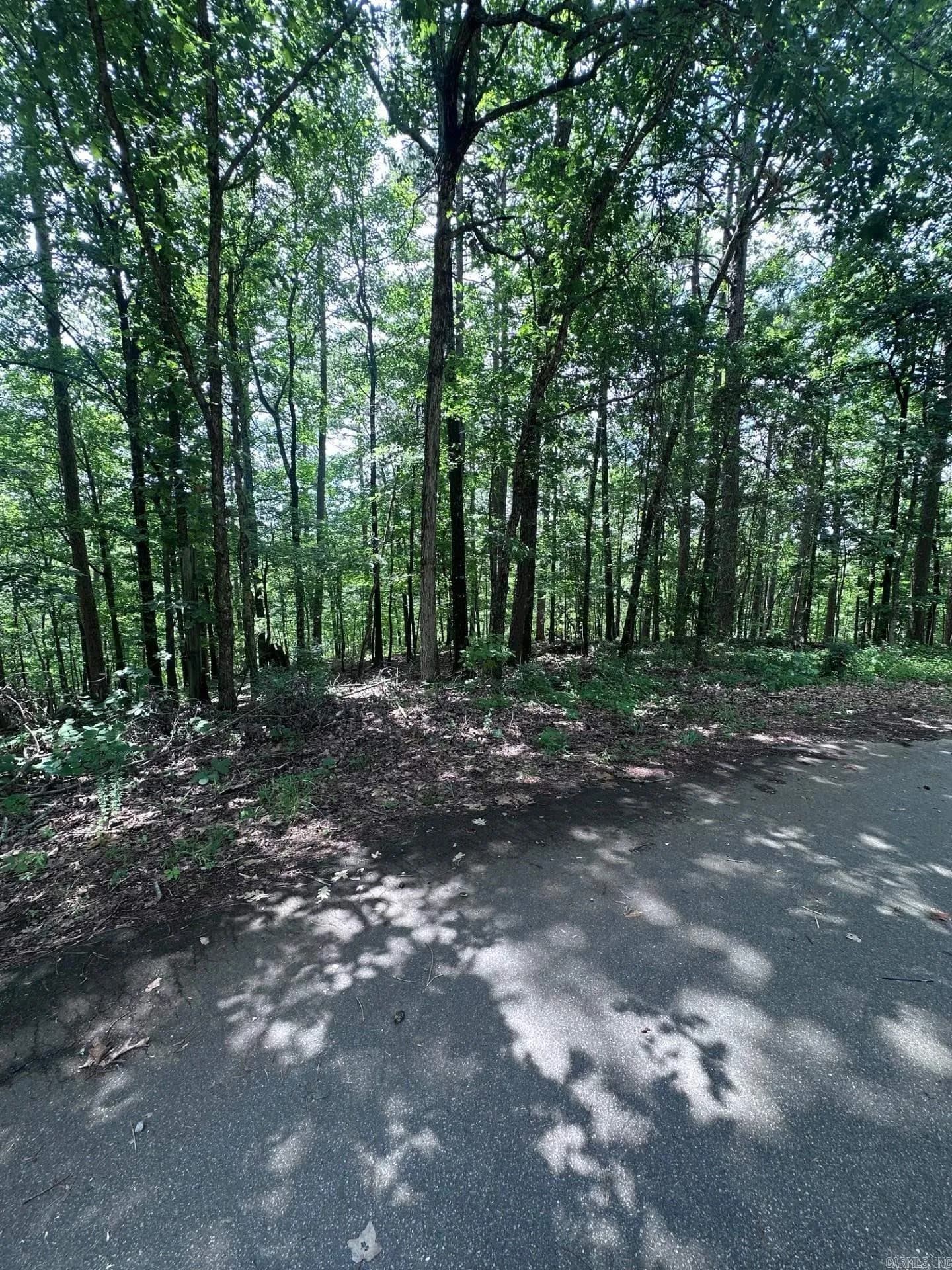 Property at 34 & 37  Almendra ln - Image 5